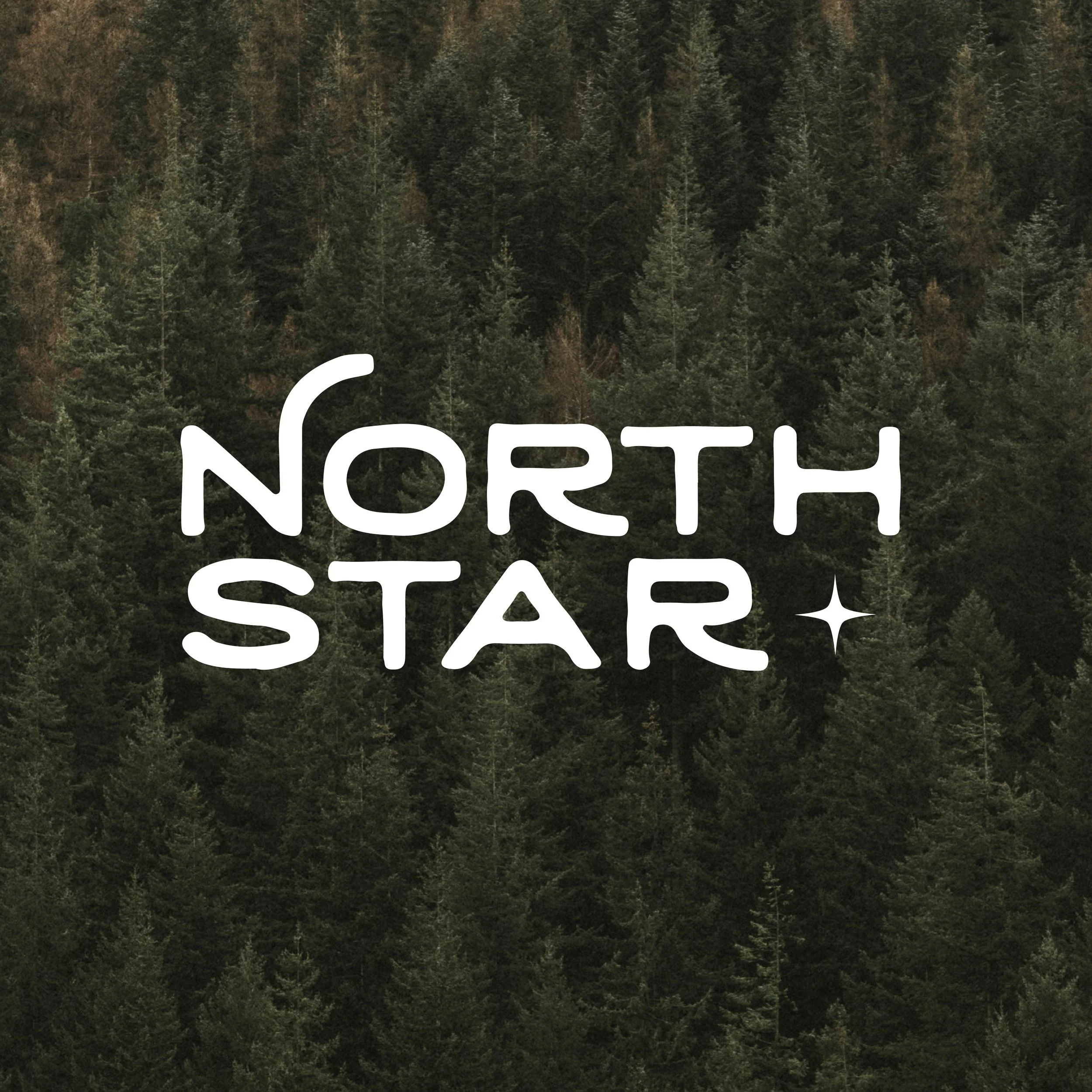 Brand Identity