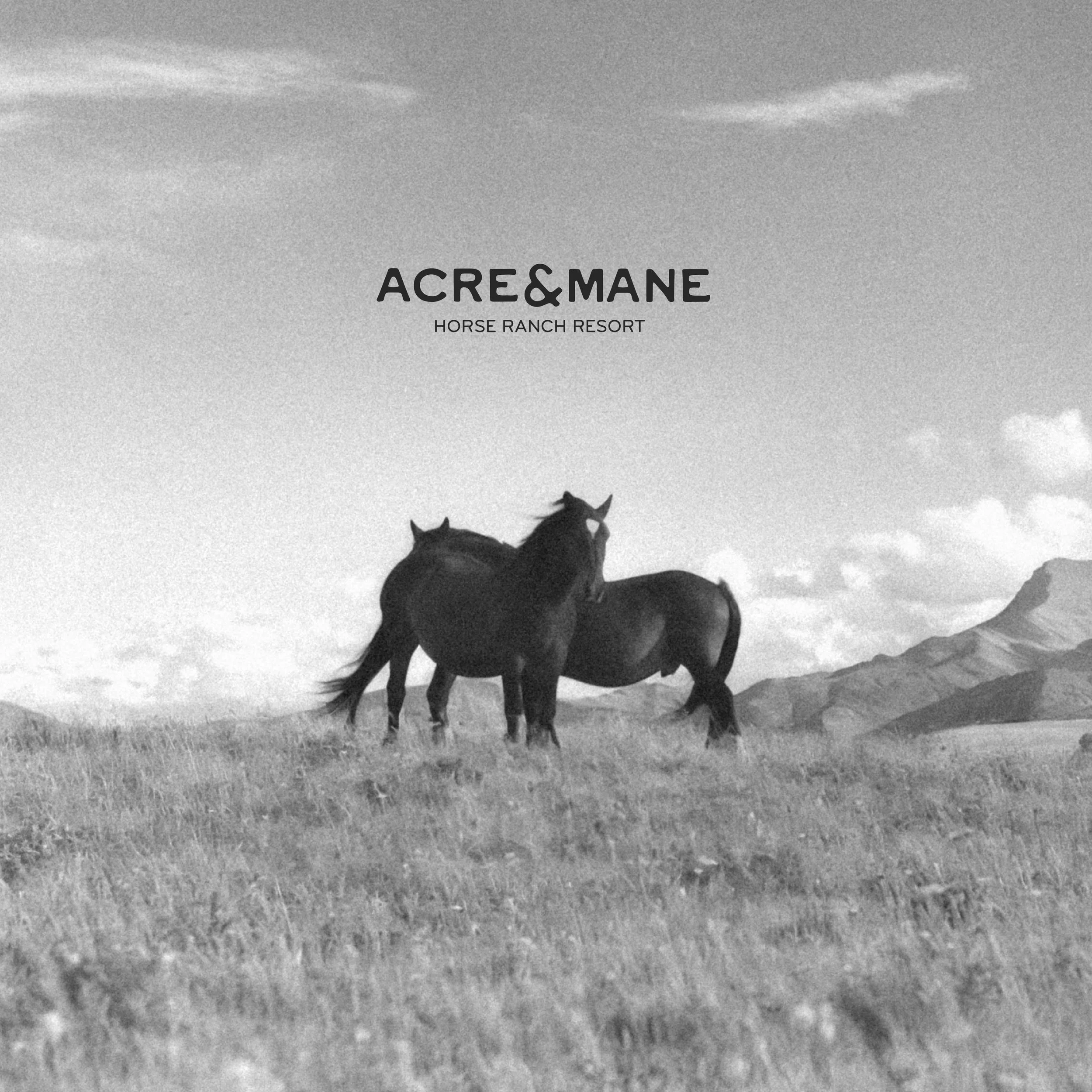 Acre & Mane-11.jpg