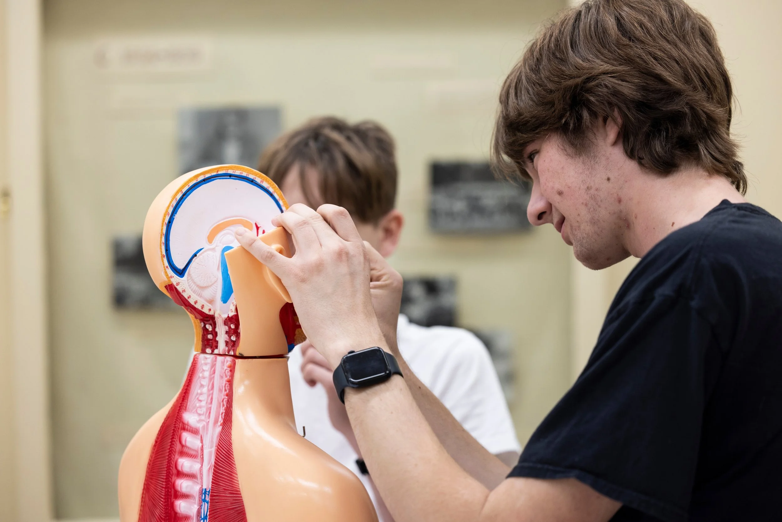 Student examining an anatomy model during an IDE