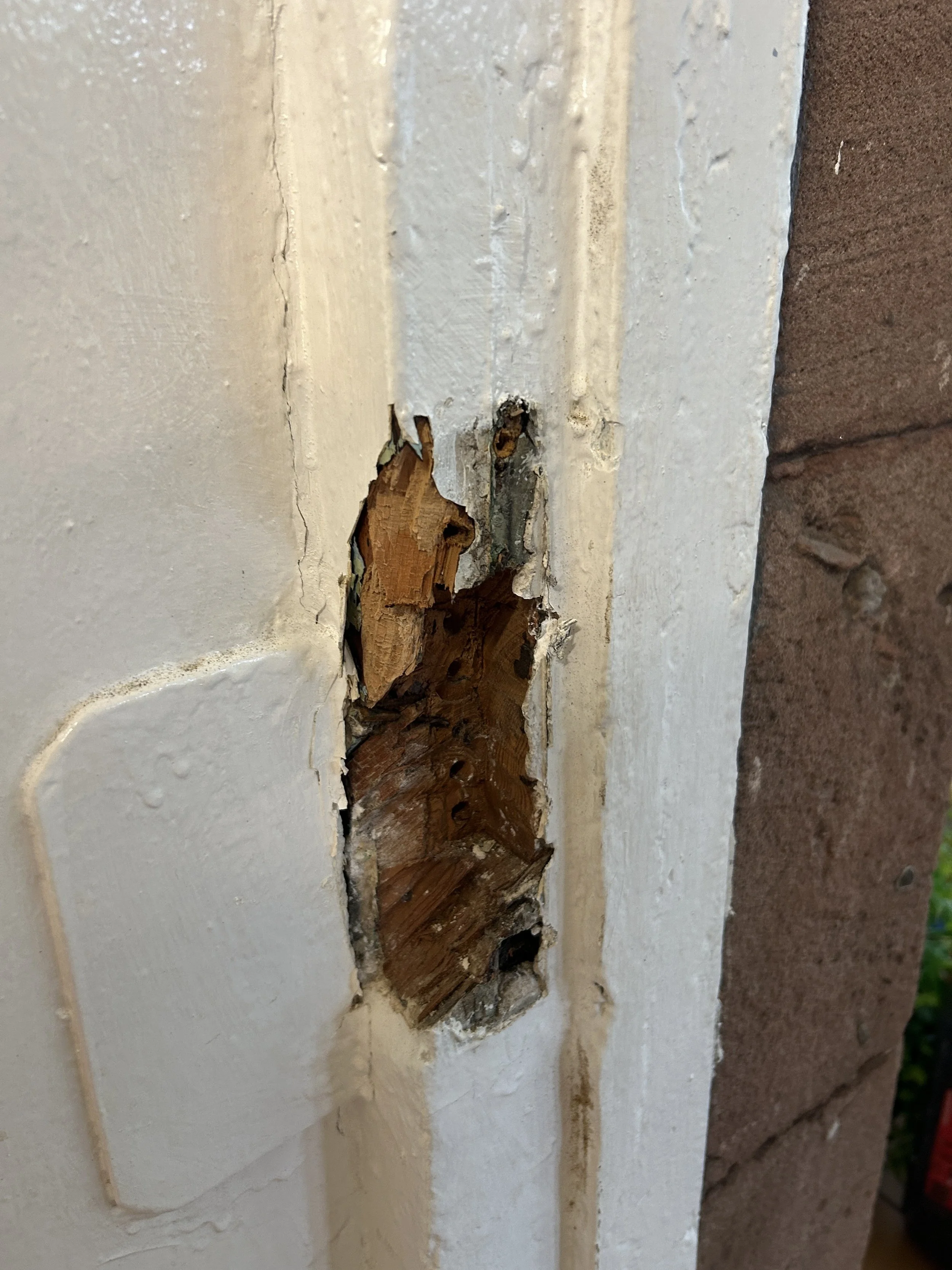 Close-up of a damaged section of a painted white wall with exposed wood and brick beneath, showing peeling paint and cracks.