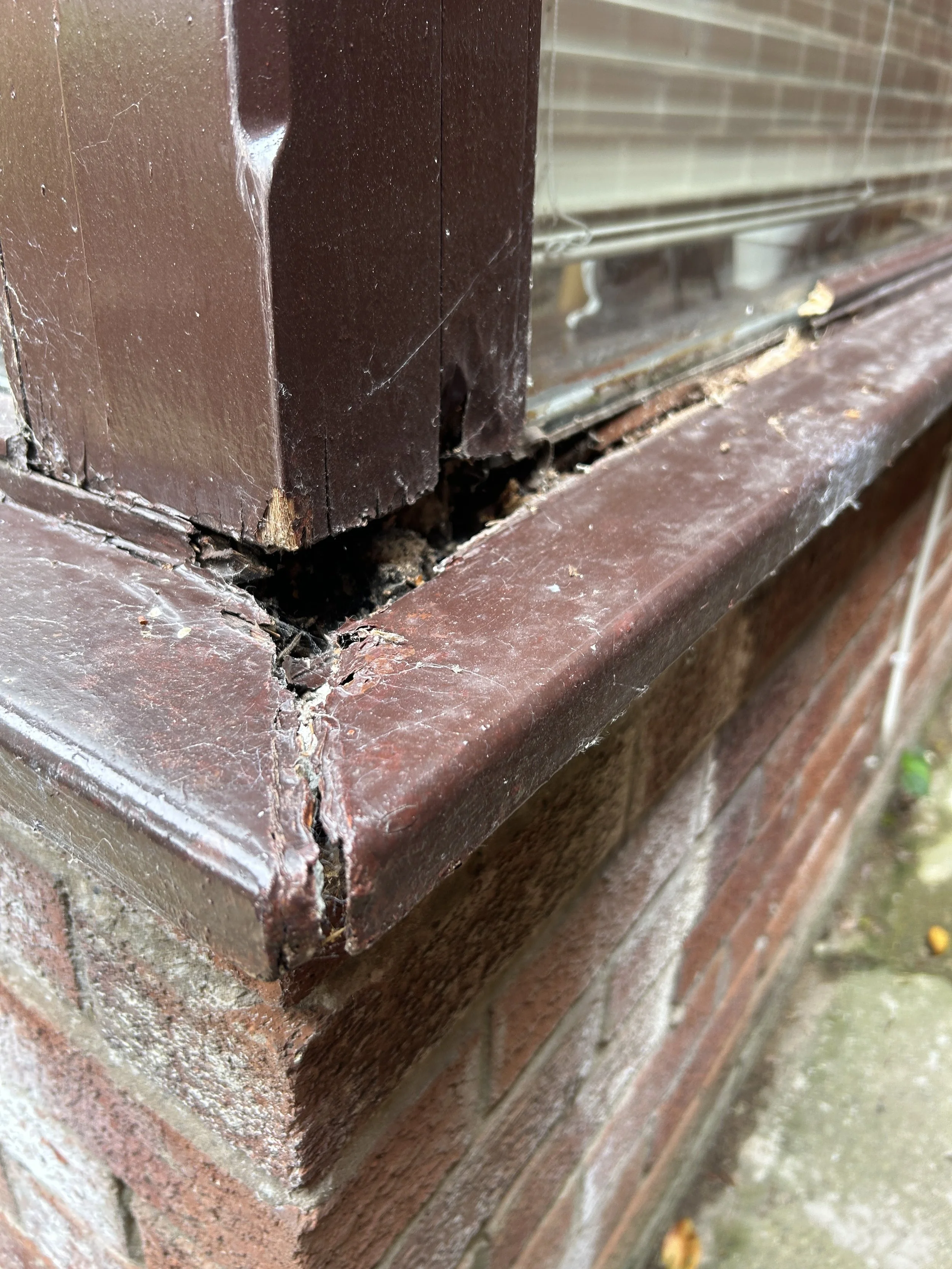 Close-up of a damaged brick windowsill with chipped and cracked bricks, some mold or dirt, spider webs, and debris in the cracks.