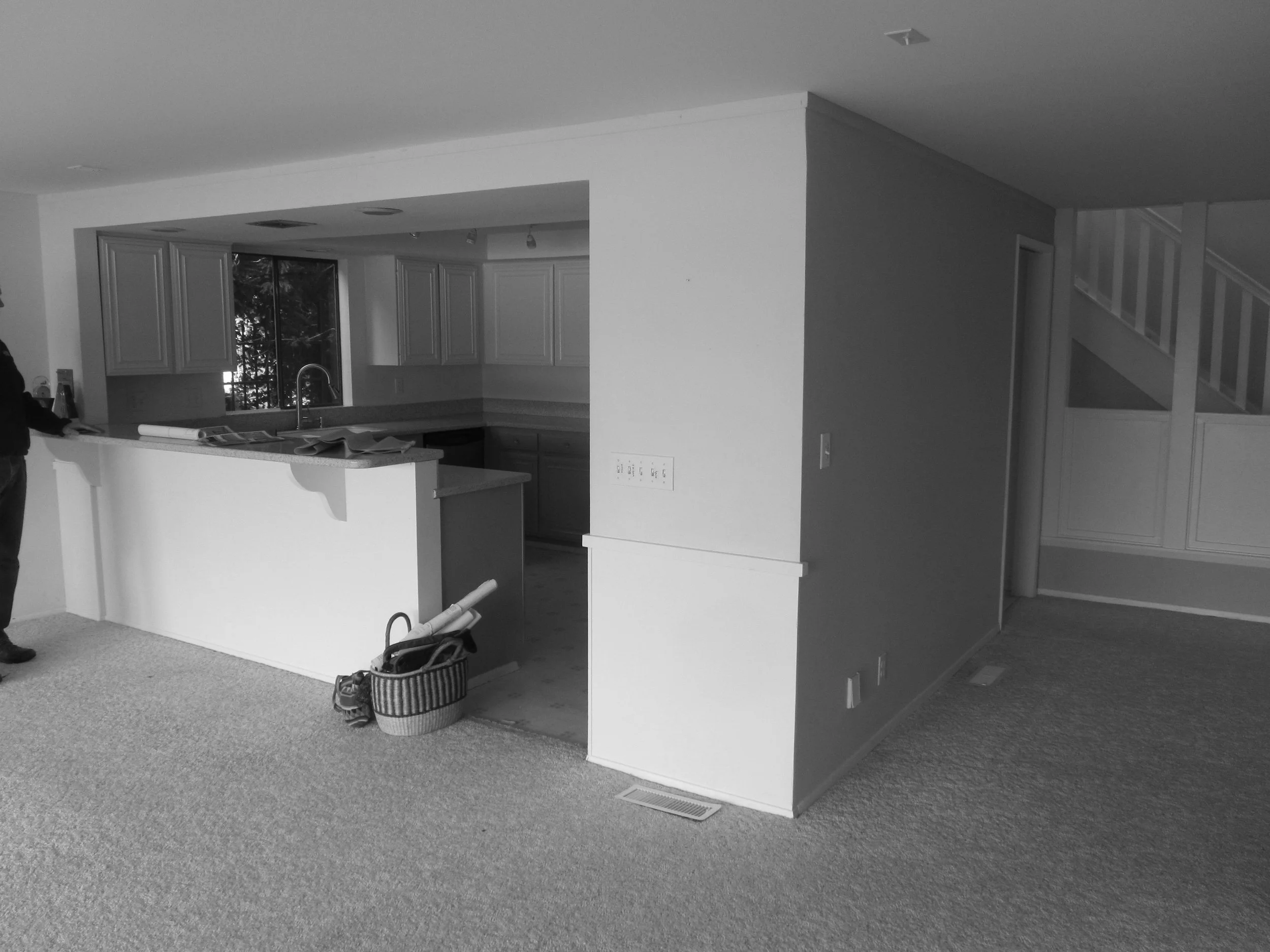 Crocenzi BEFORE Photos 037.JPG