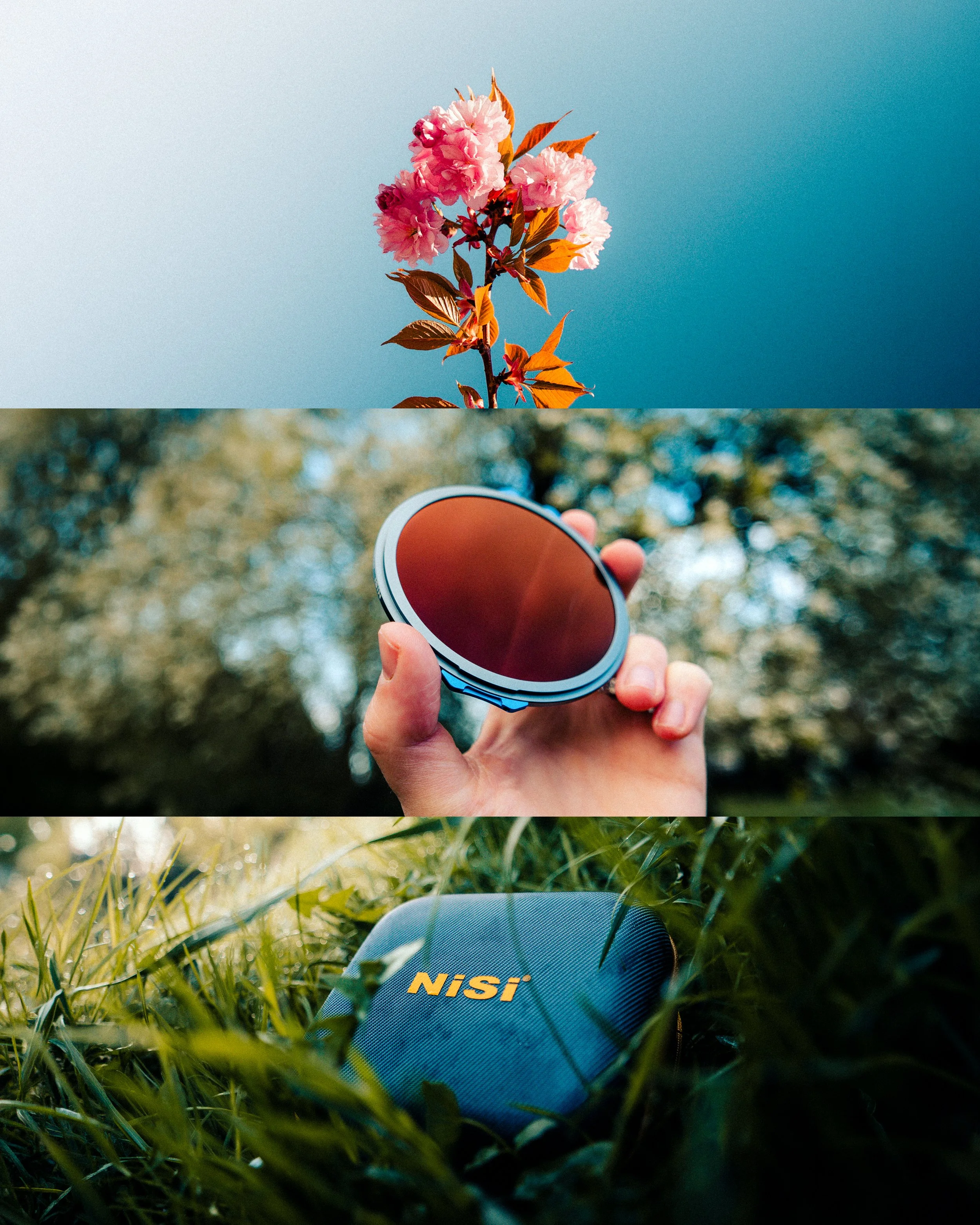 Nahaufnahme eines blühenden Kirschbaums mit rosa Blüten gegen einen blauen Himmel, im Hintergrund unscharfer Himmel.