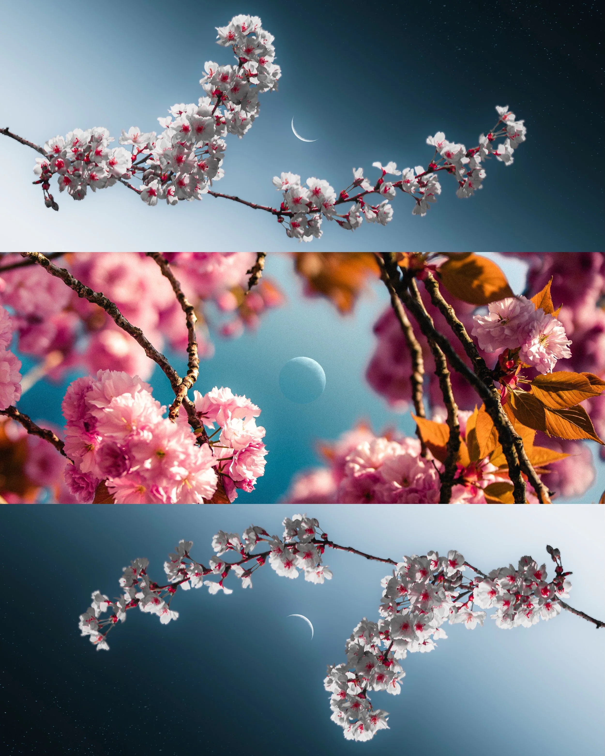 In a world where creative work is constantly mistaken for AI, standing out as a human creator has never been more important.

No matter how time-consuming it is to create images like these, and no matter how quickly AI can generate something similar,