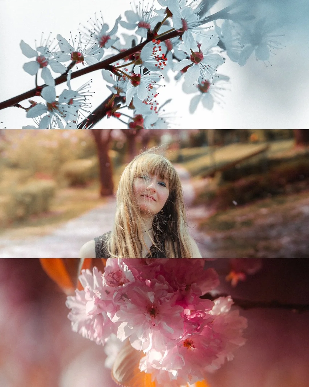 Some more blossom frames combined with the pixel stretch effect as promised under my last post 📸

Taken with my Sony Alpha, graded in Lightroom and pixel stretched in Photoshop 🎨

Link to my presets in my bio 🔗

#sonyalpha #cherryblossoms #pixelst