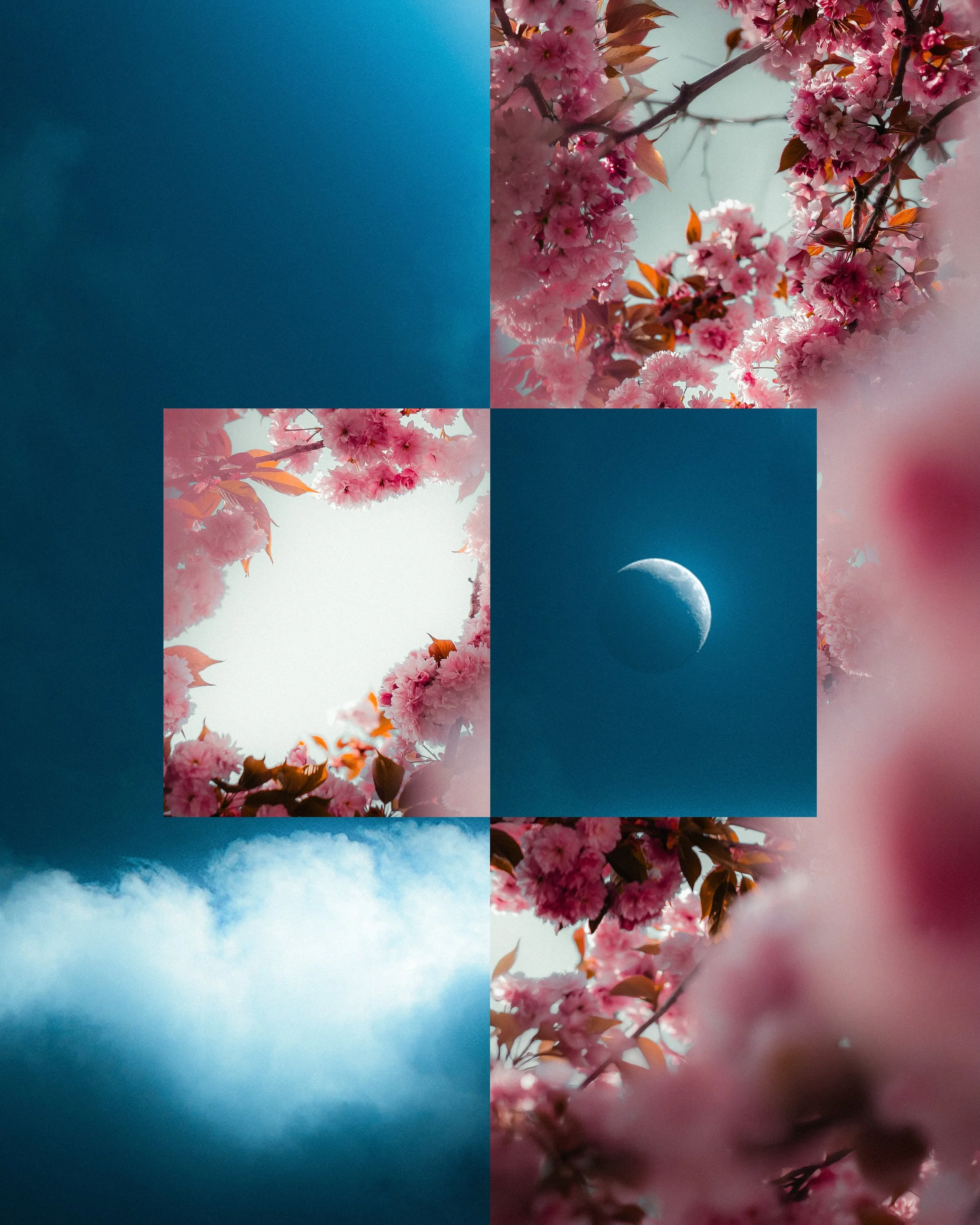 Love this layout lately 📸

I remember Instagram being a place for shameless selfies, over edited nature photos with sepia filters and unpolished feeds. 

This layout breaks the rule of posting clean 4by5 frames and establishes a chaotic look which I