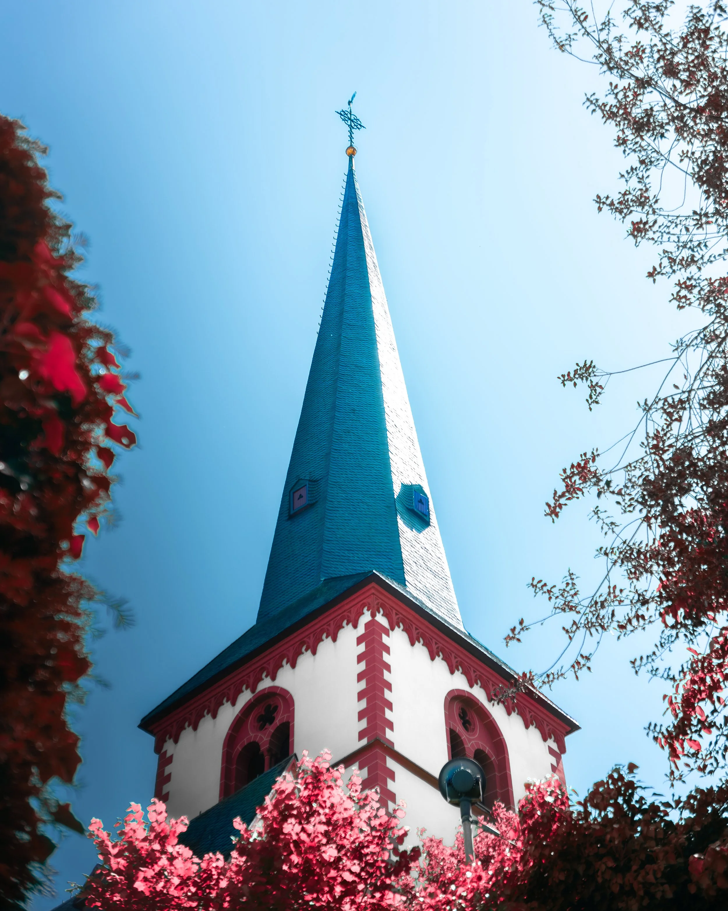 Blick nach oben auf einen hohen Kirchturm mit blauer Spitze, umgeben von roten und pinken Blumen und Bäumen, gegen den blauen Himmel.