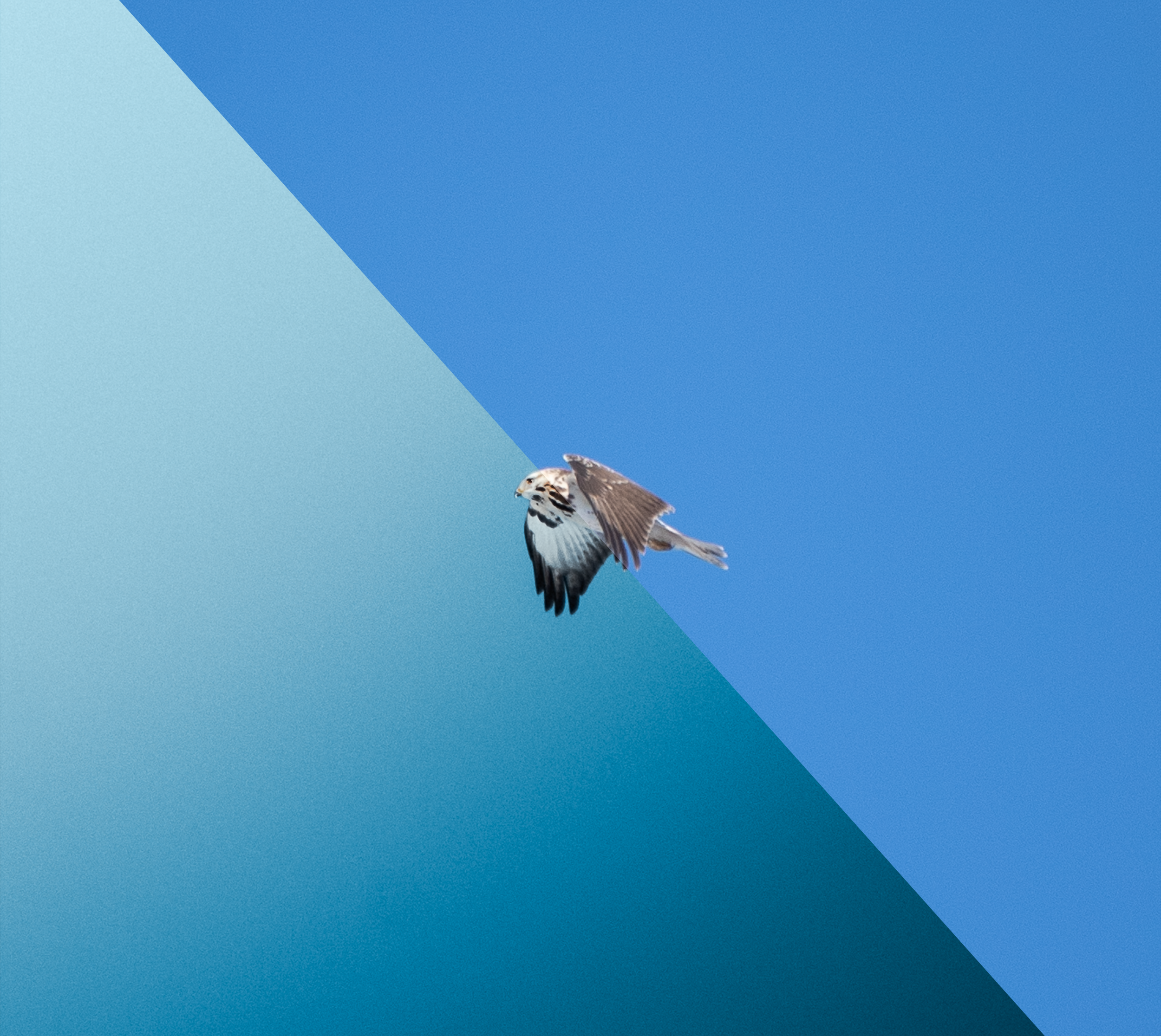 Untitled-2.png