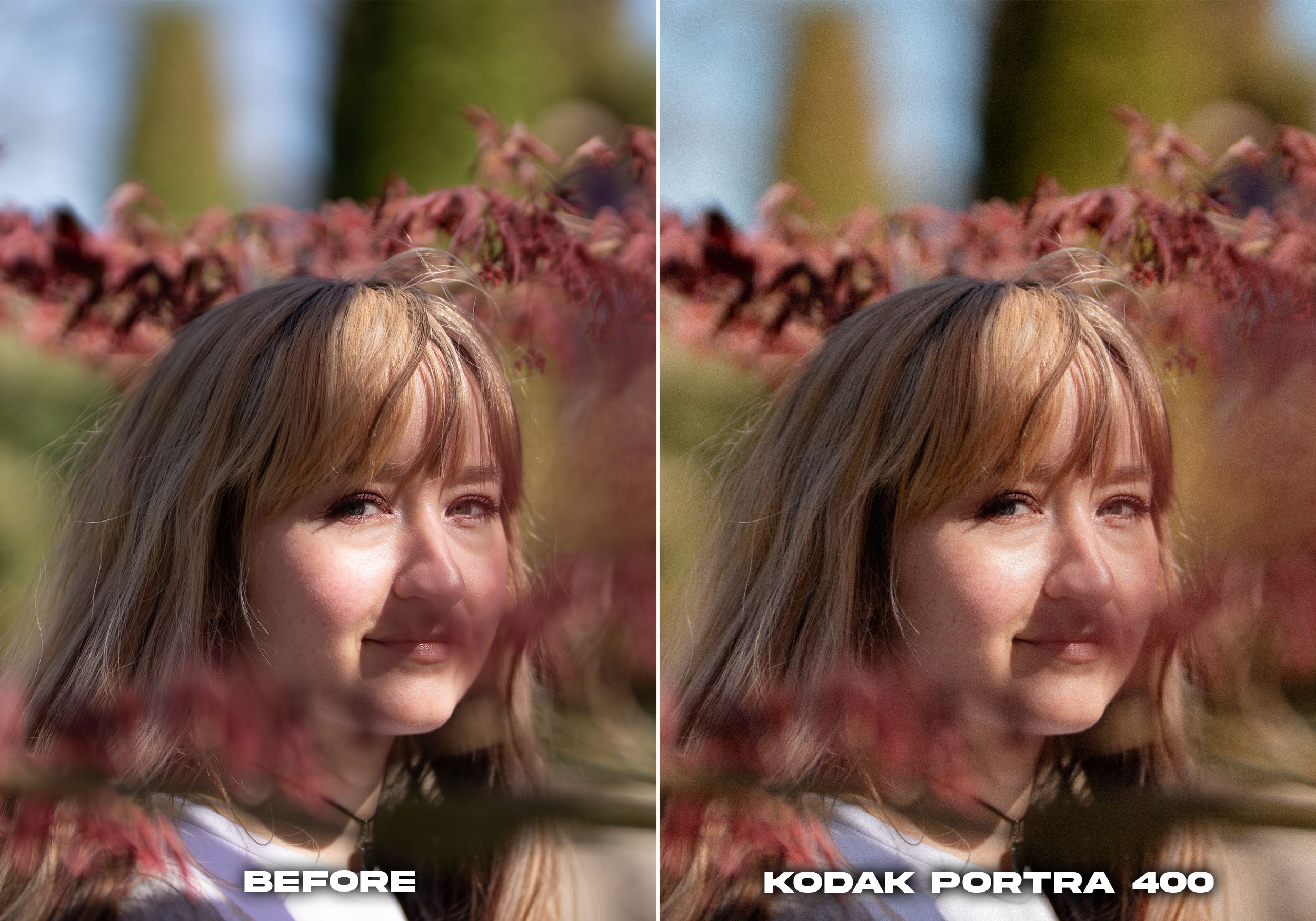 PORTRA 400.png