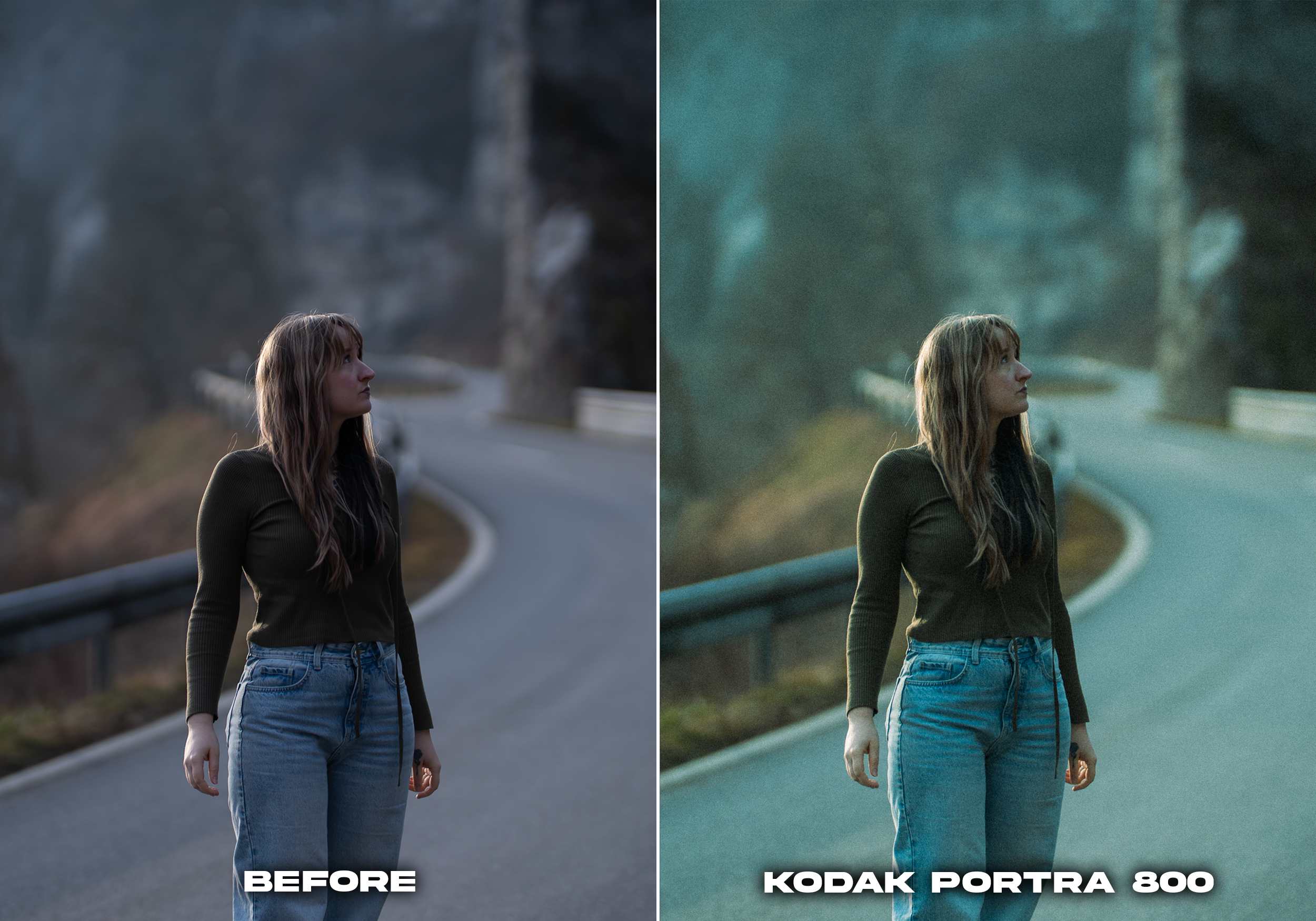 PORTRA 800.png