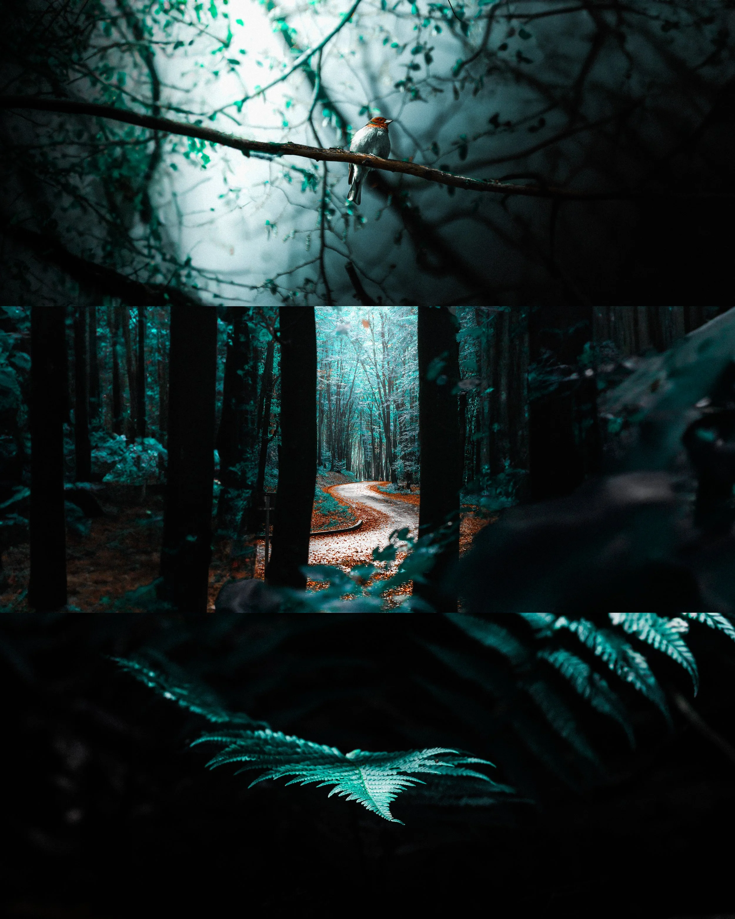 Ein Vogel sitzt auf einem Zweig in einem dunklen Wald, das Licht fällt durch die Bäume. Im Vordergrund sind grüne Blätter im Fokus.