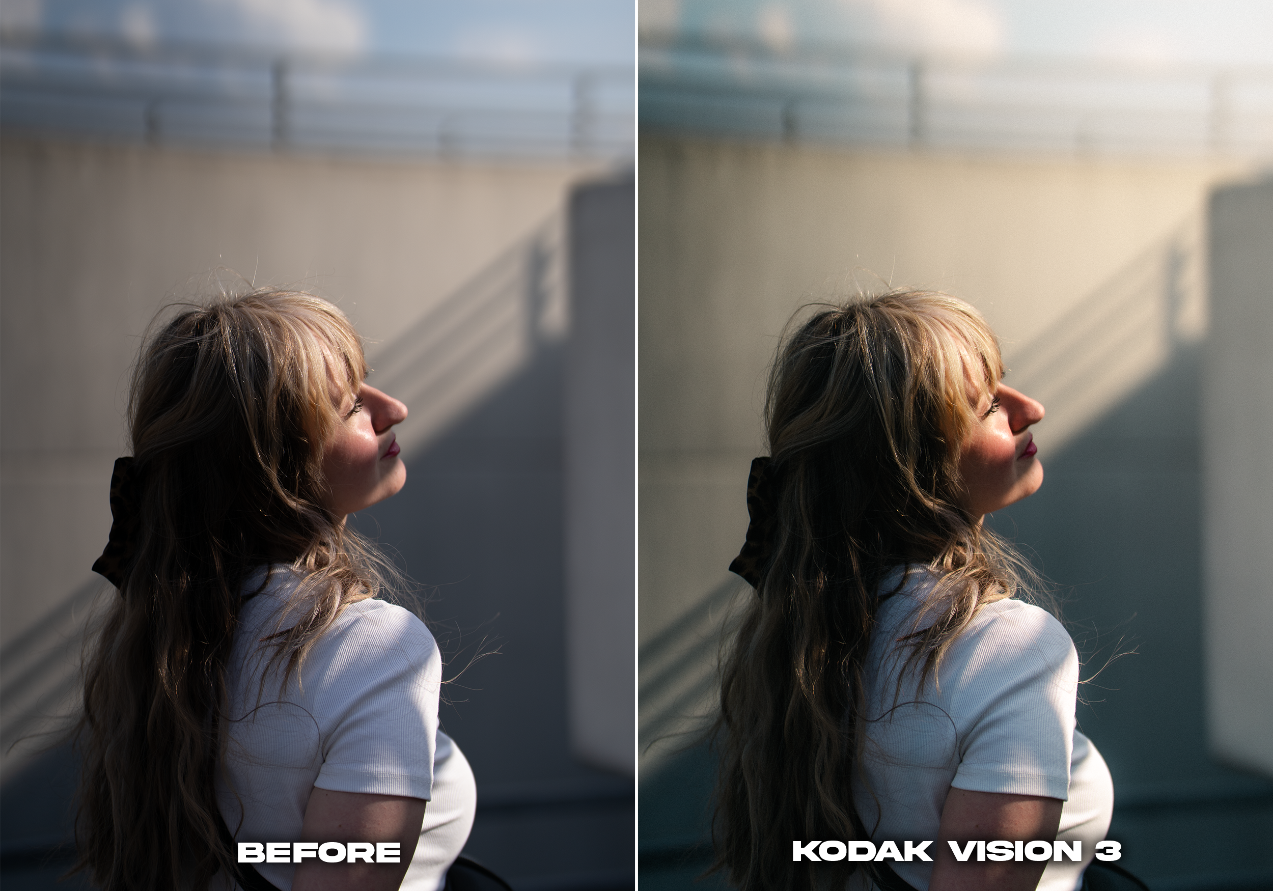 KODAK VISION 3.png