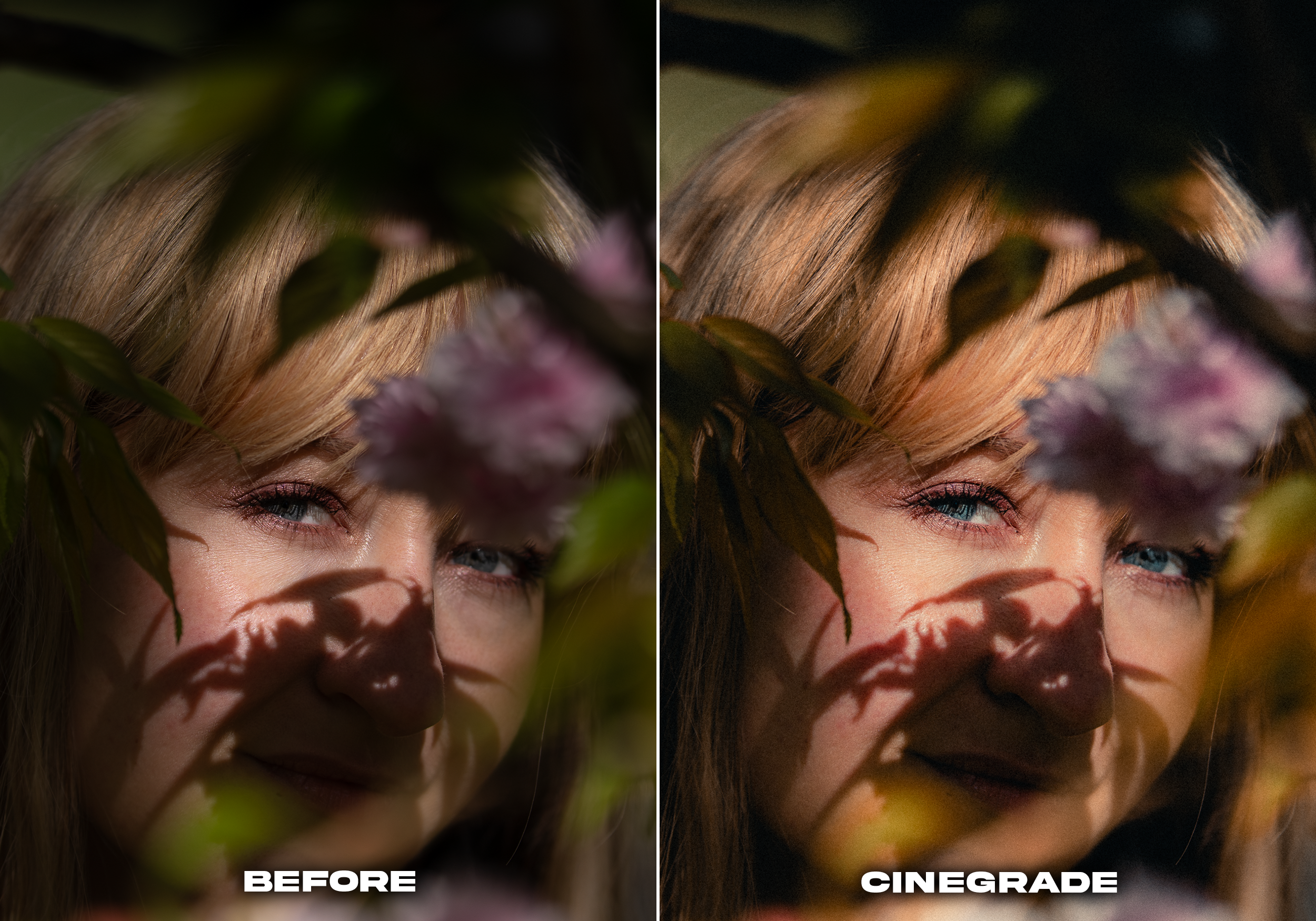 CINEGRADE.png