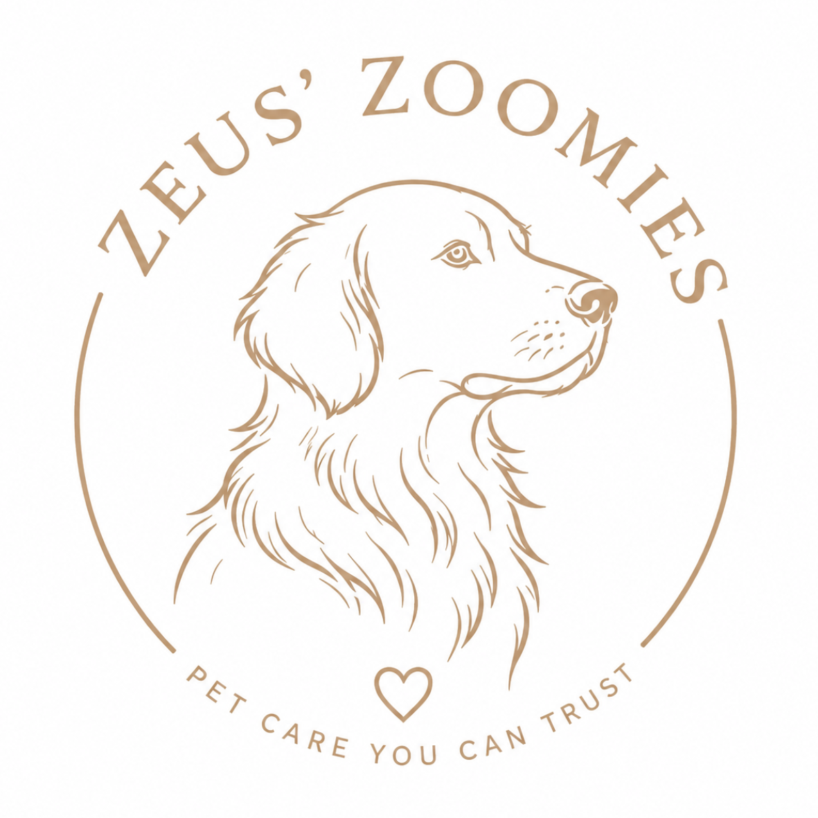 Zeus' Zoomies 