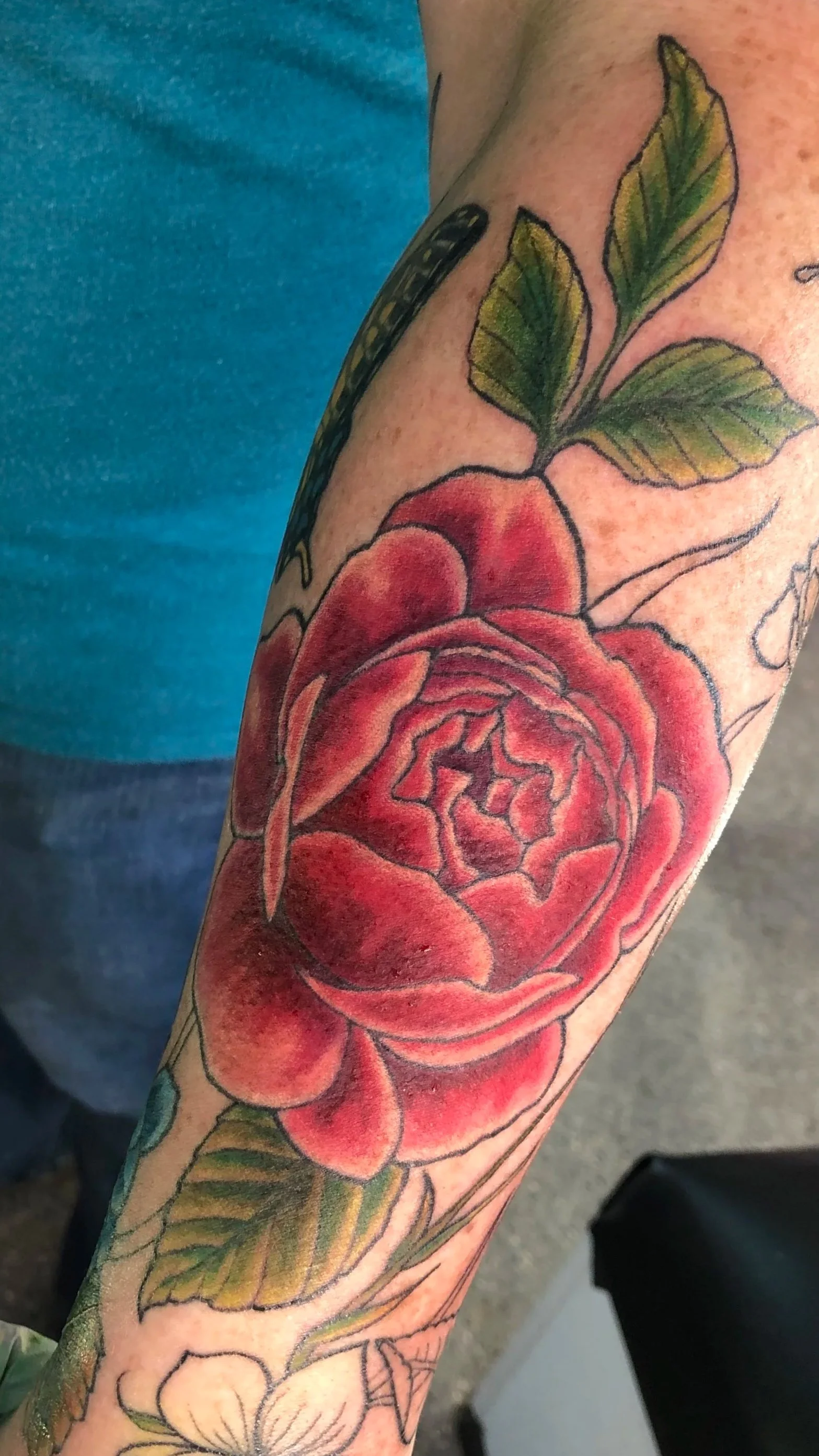 A tattoo of a large red rose with green leaves on a person's arm.