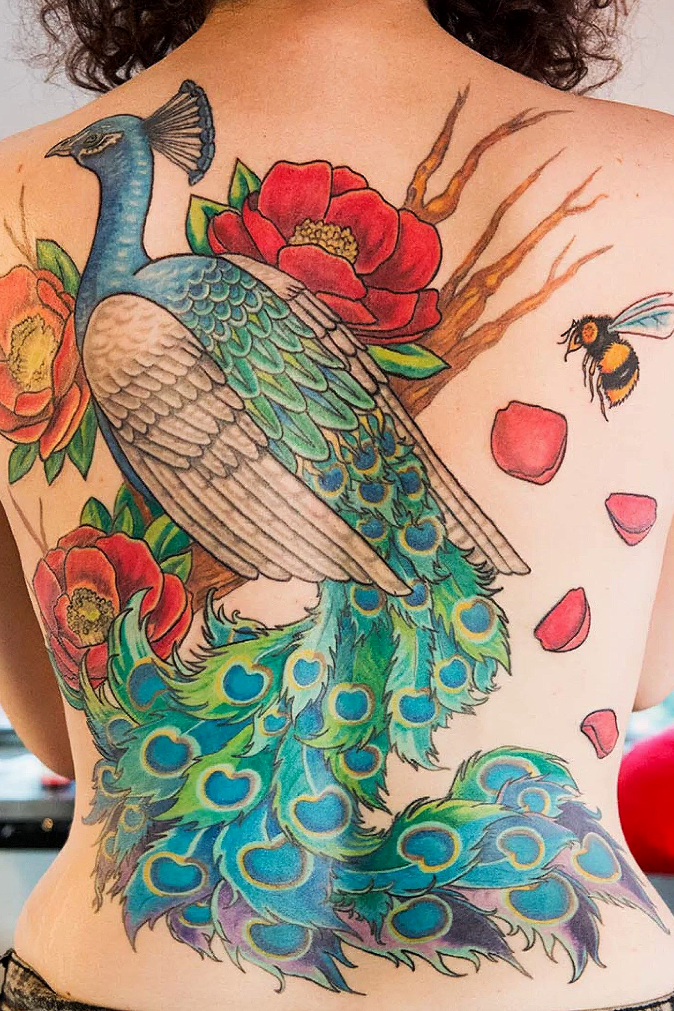 Colorful tattoo of a peacock with red flowers and a bee on a person's back and side torso.