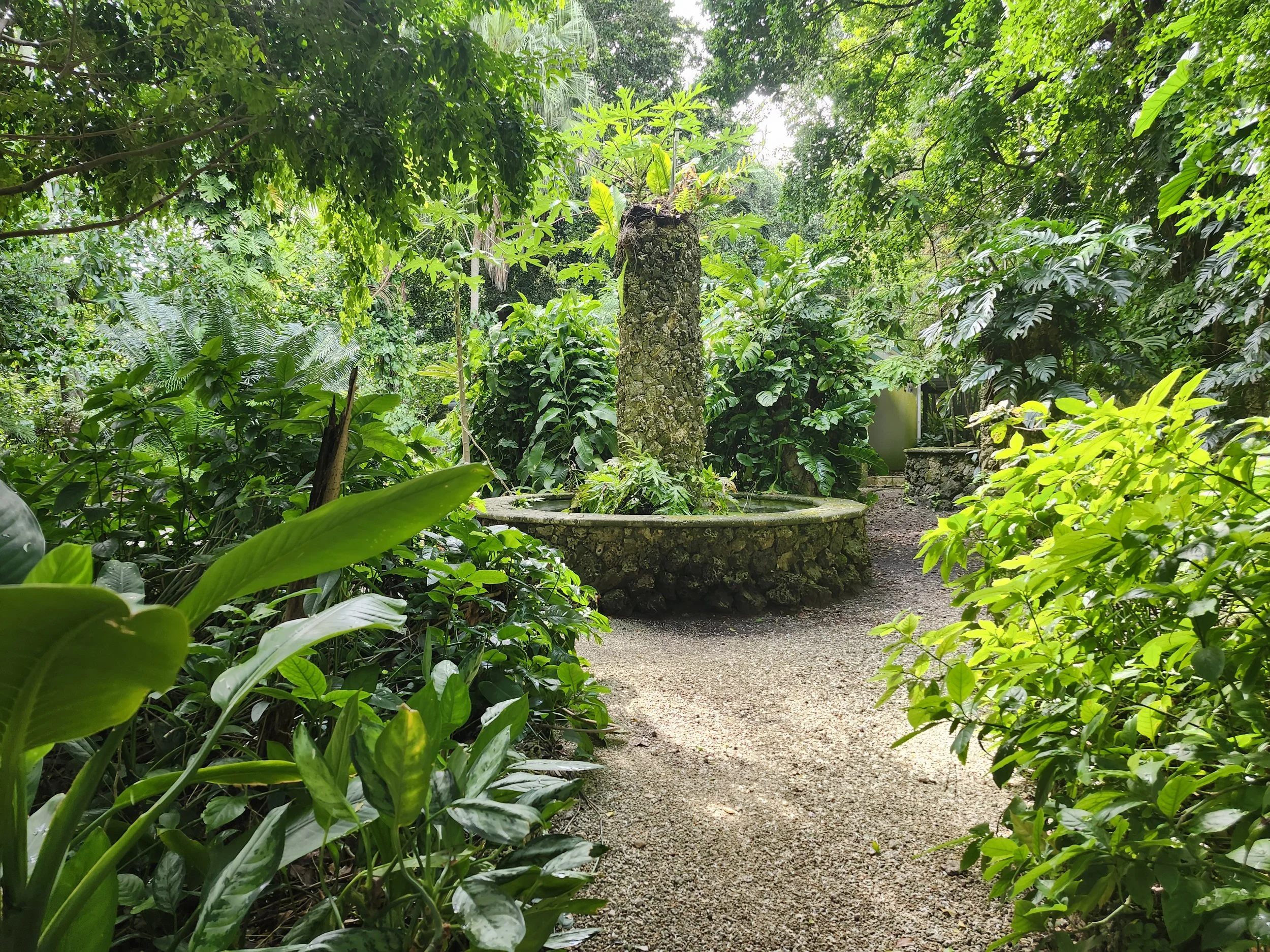 Botanical Garden Morning Experience