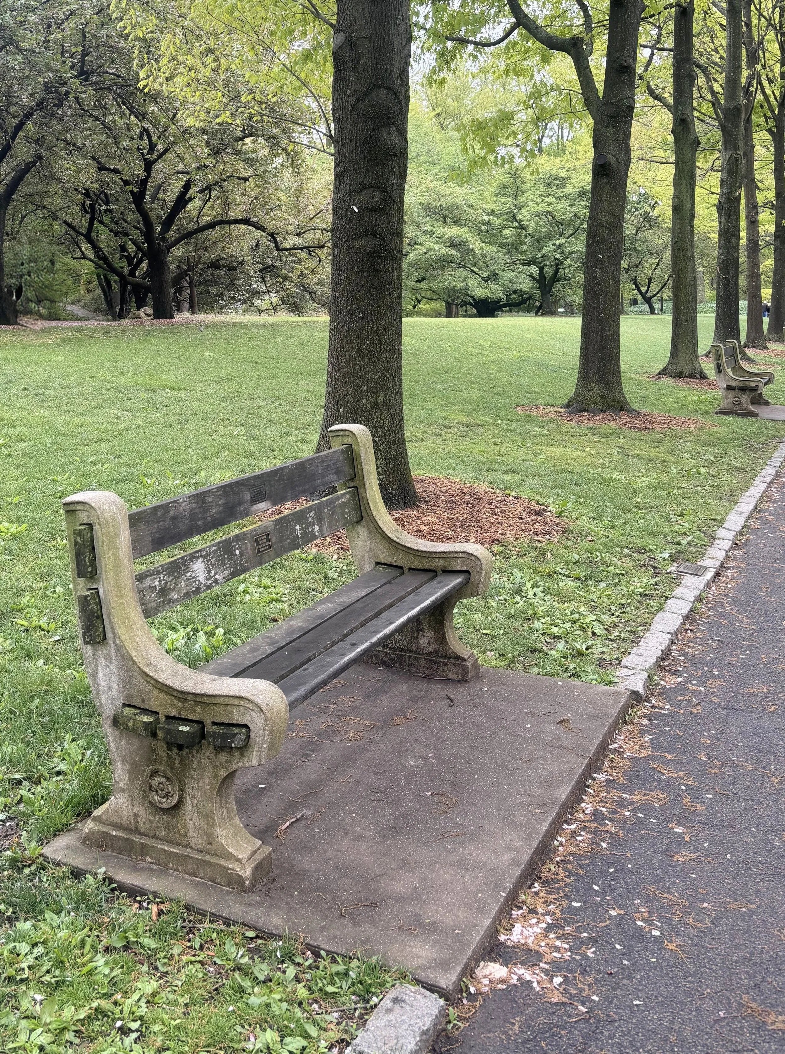 Park with multiple trees, grassy area, and three empty wooden benches along a paved walkway. Leaves scattered on the ground, suggesting spring or early summer.