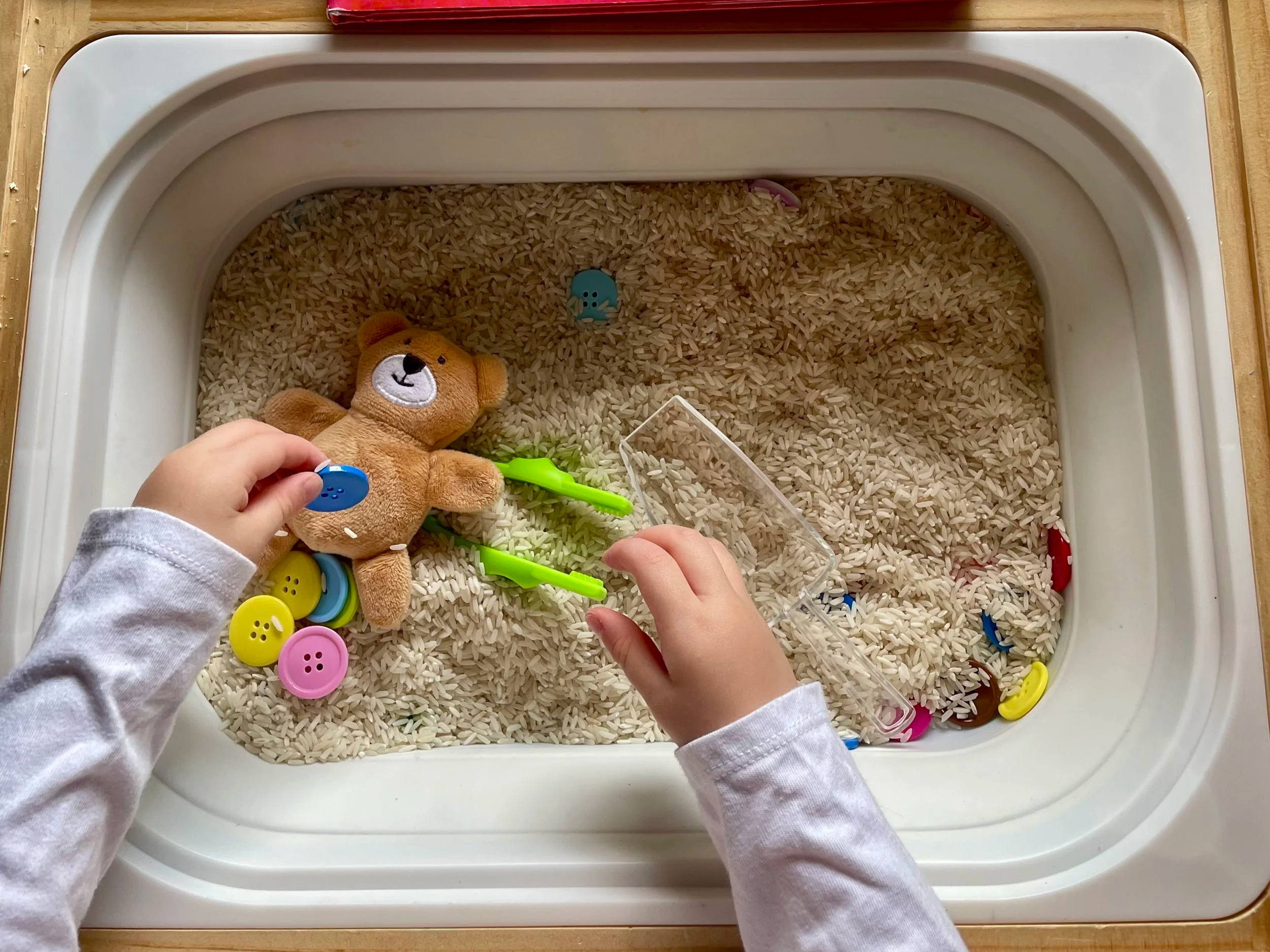 Toddler finding buttons in a rice sensory bin with small bear.