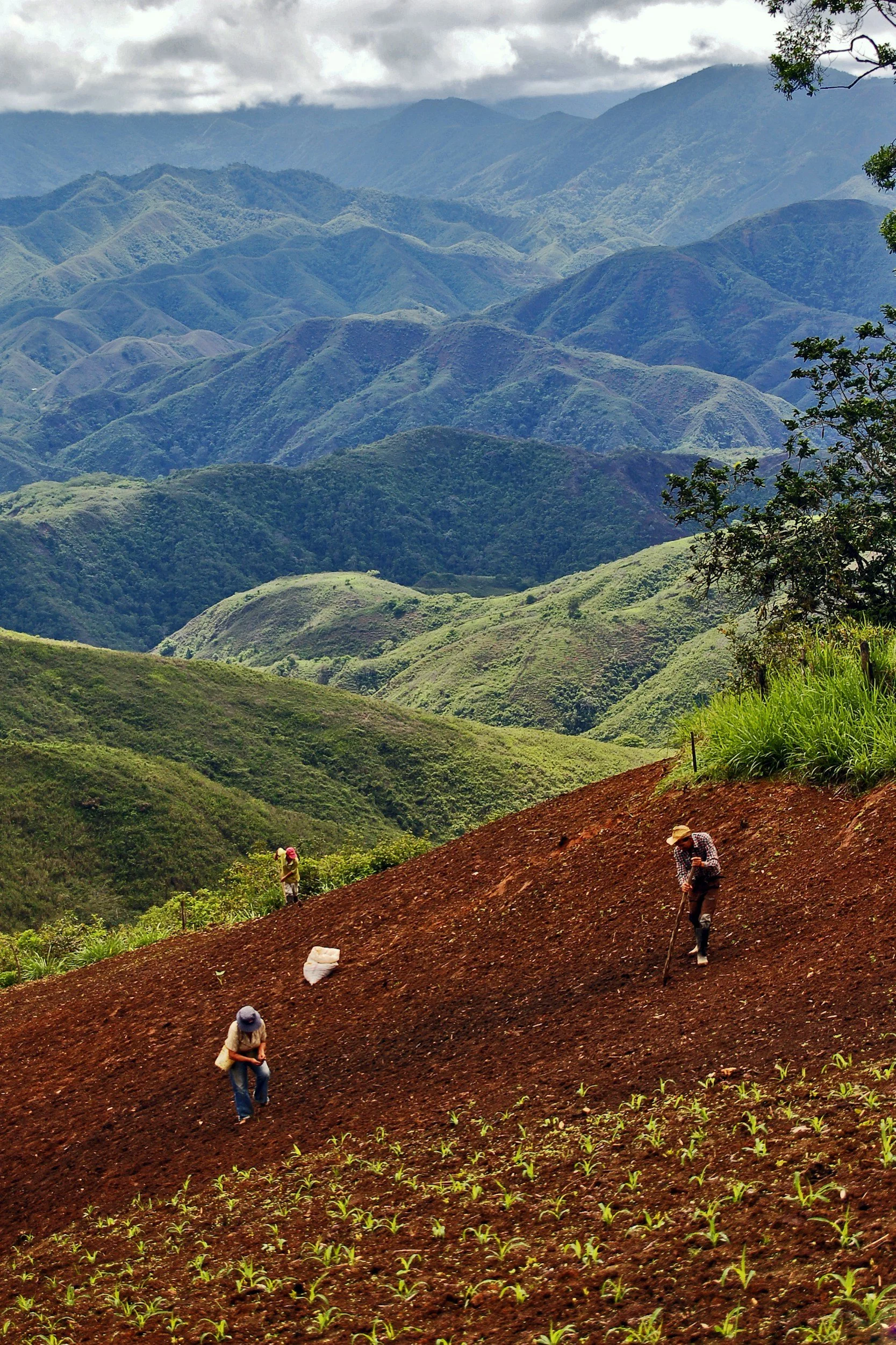 Plan Semilla Sierra Humana Asesoria Legal a Fundaciones