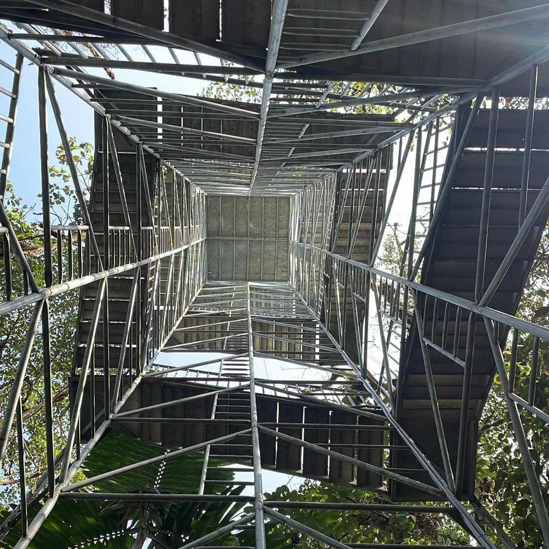 Vista desde abajo de una estructura metálica de una torre de observación o escalera con plataformas y pasamanos, rodeada de árboles verdes.