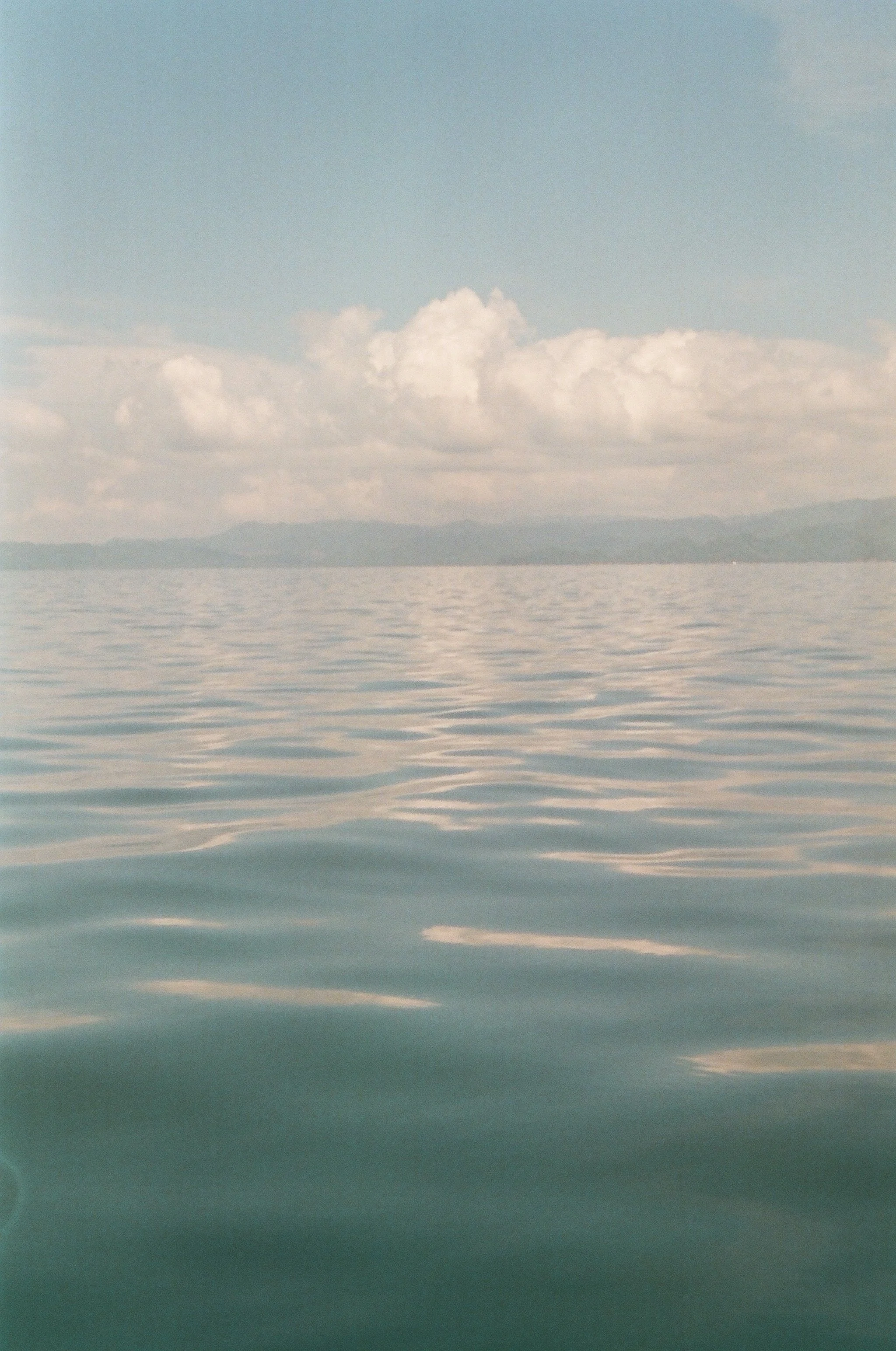 52240027.JPG