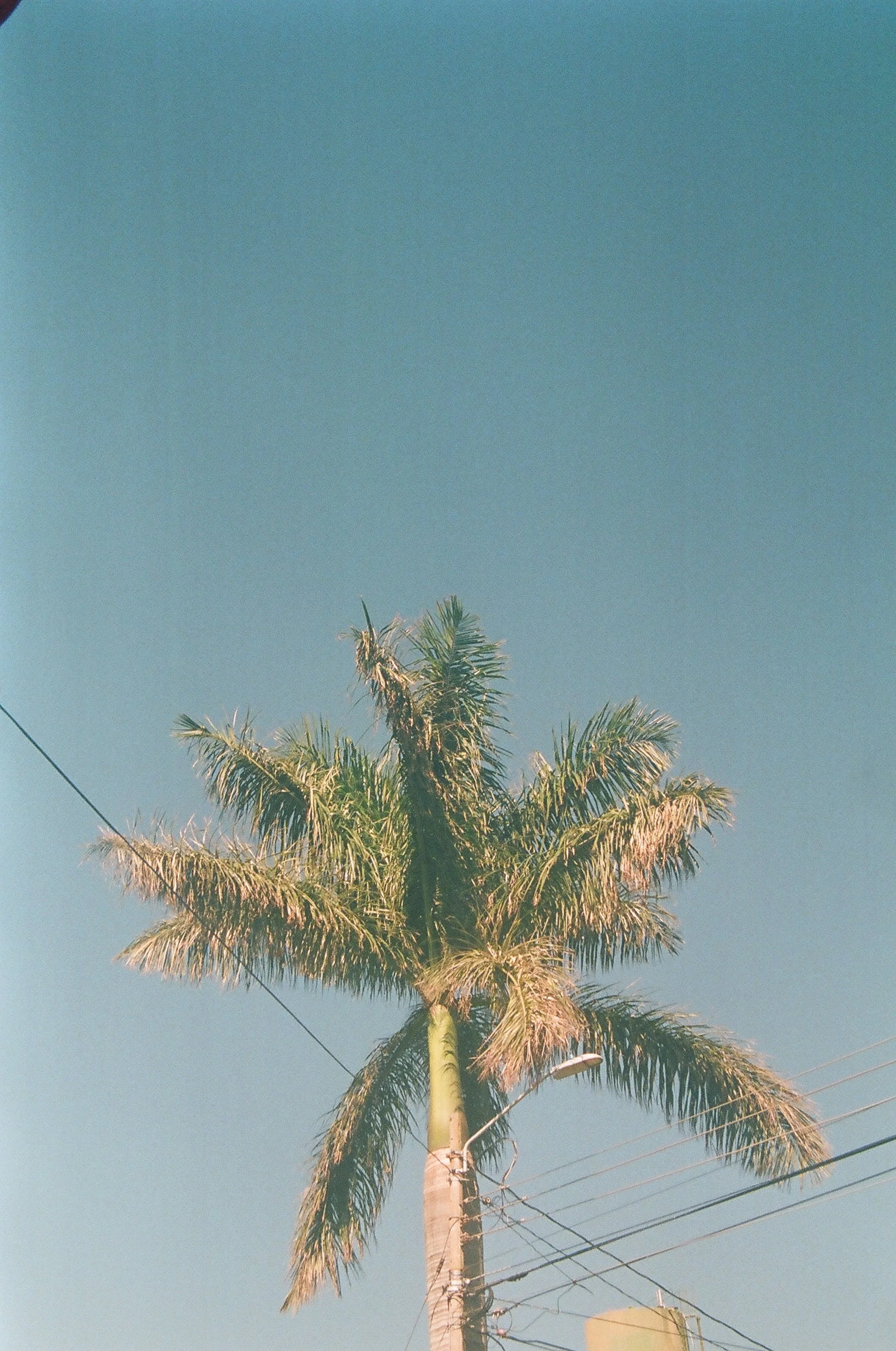 52240003.JPG
