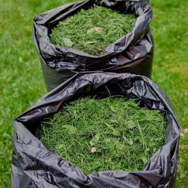Two large black trash bags filled with freshly cut grass and weeds, placed outdoors on green grass.