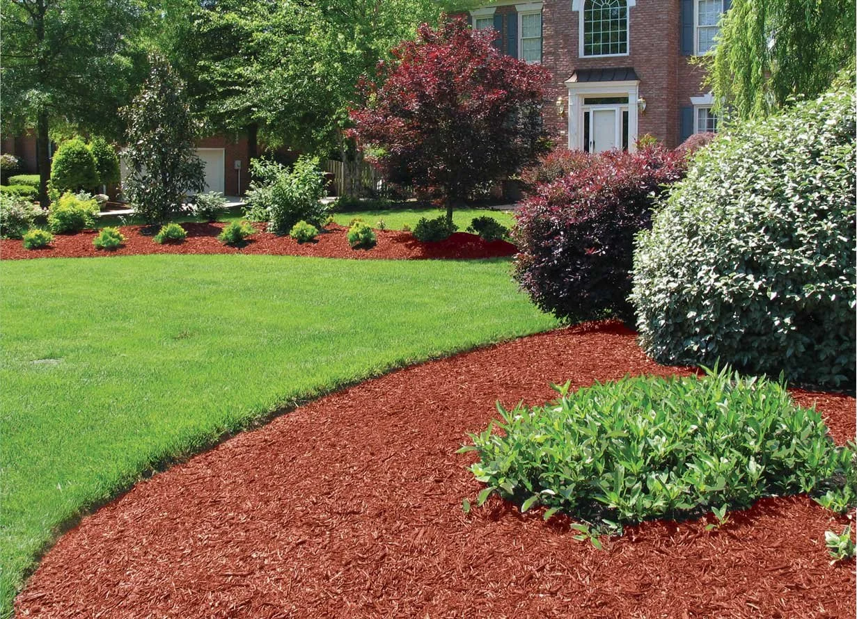 Well-maintained front yard with green grass, landscaped bushes, trees, and red mulch in front of a brick house with large windows.