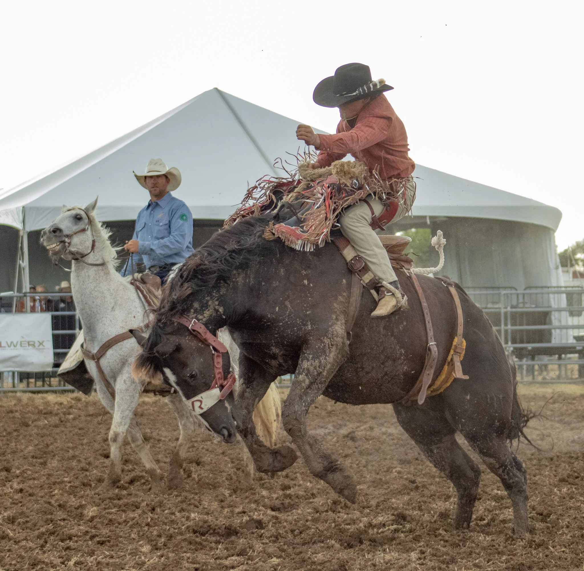 The Rodeo