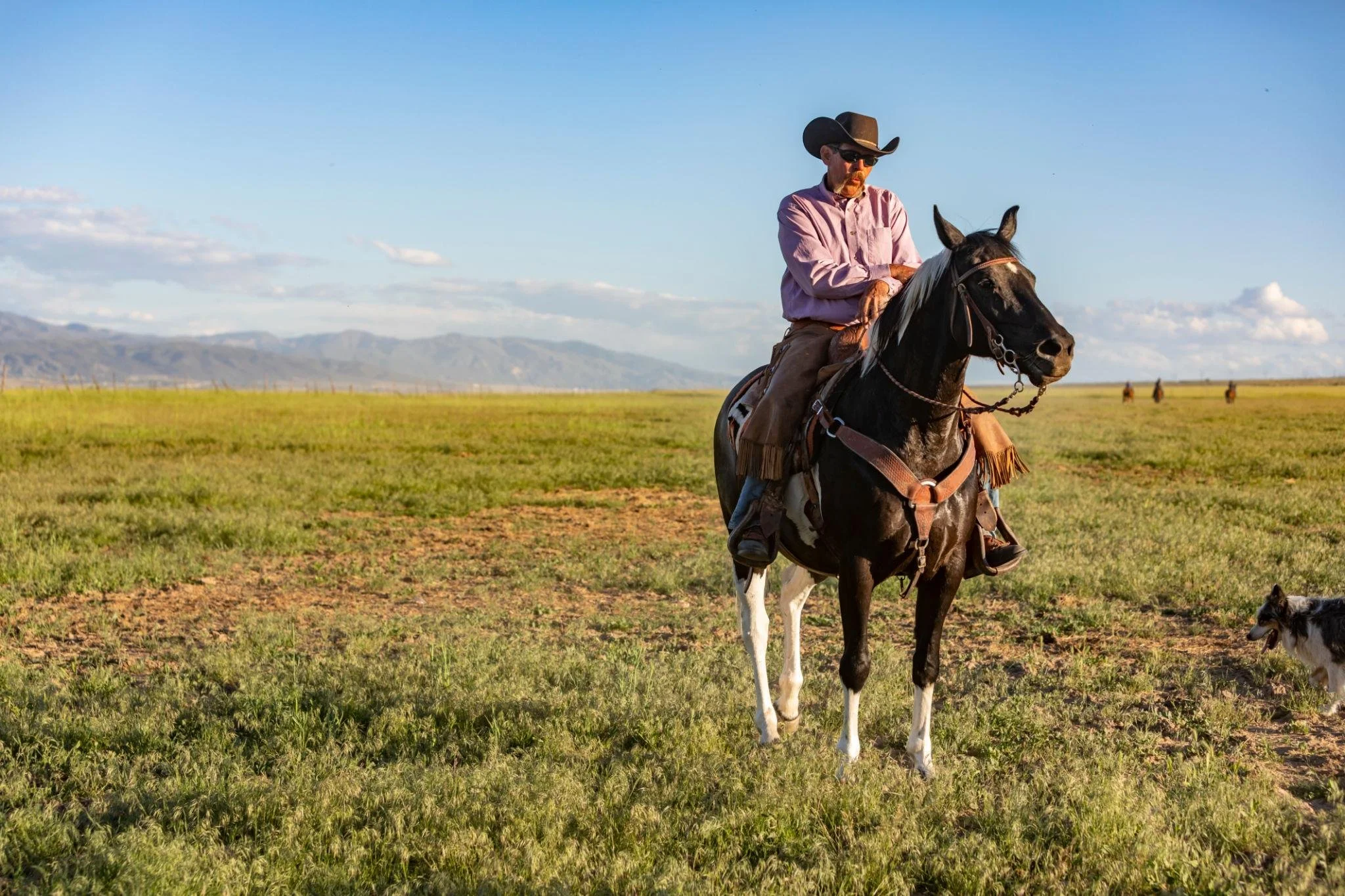 The Cowboy