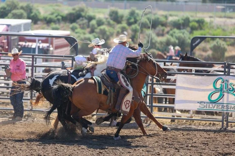 The Rodeo