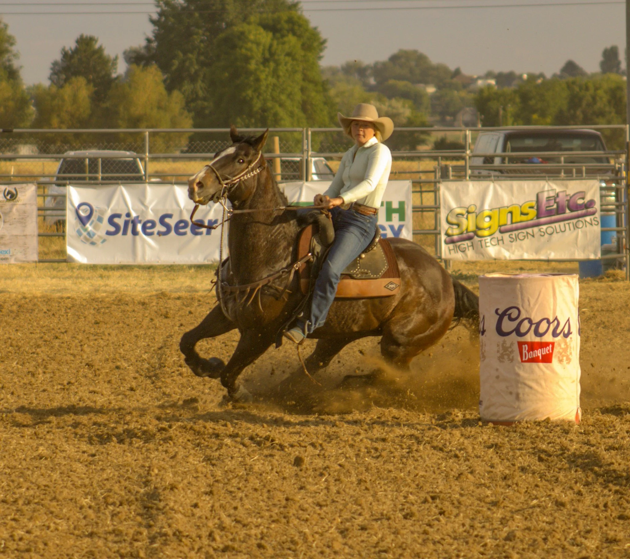 The Cowgirl