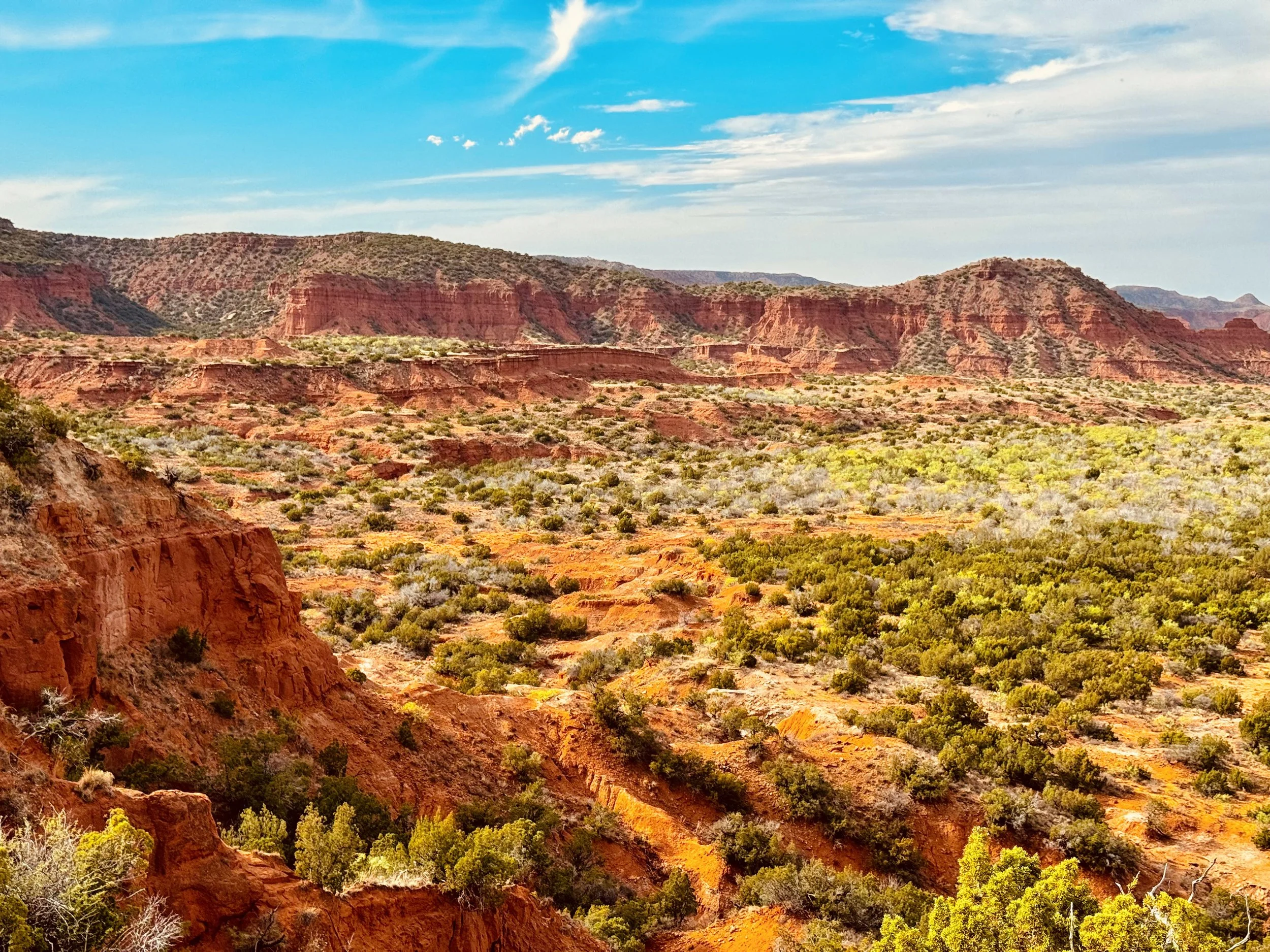 The Landscape