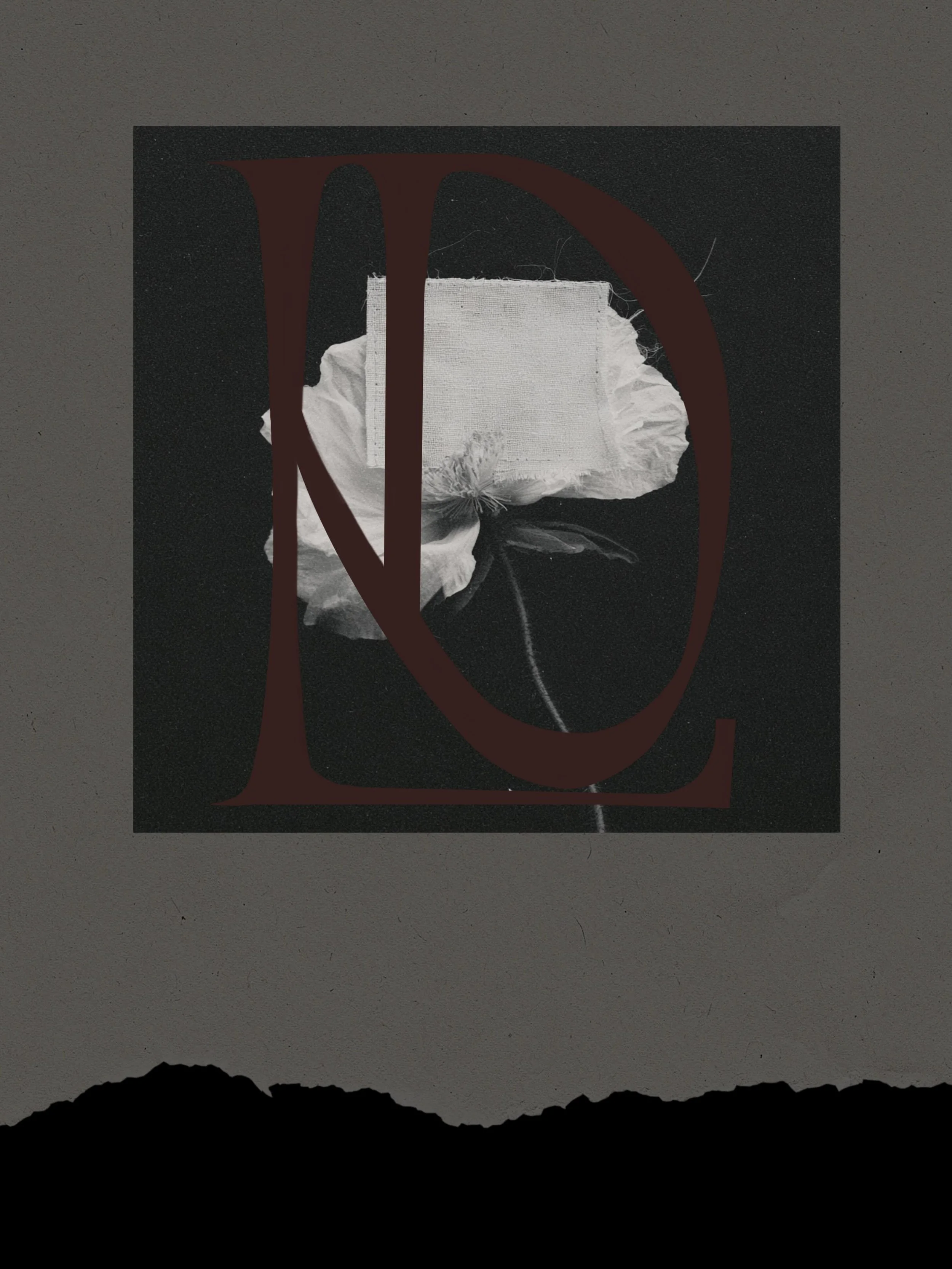 Not every brand begins with a logo.
Some begin with a feeling.

Texture. Contrast. Restraint.
The quiet details that make something feel inevitable.