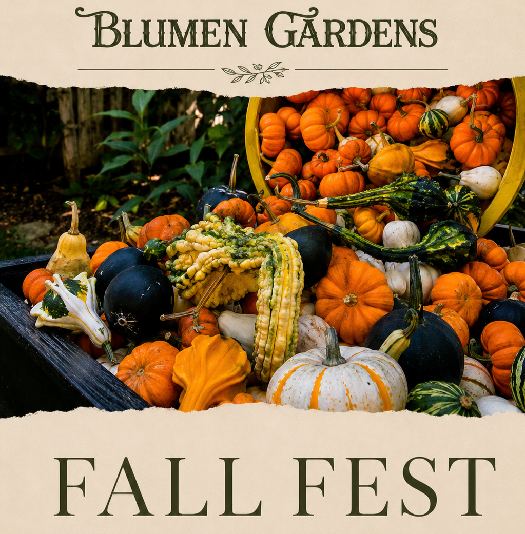 Blumen Gardens Fall Fest 