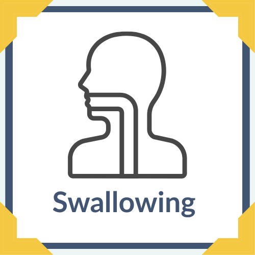 Swallowing