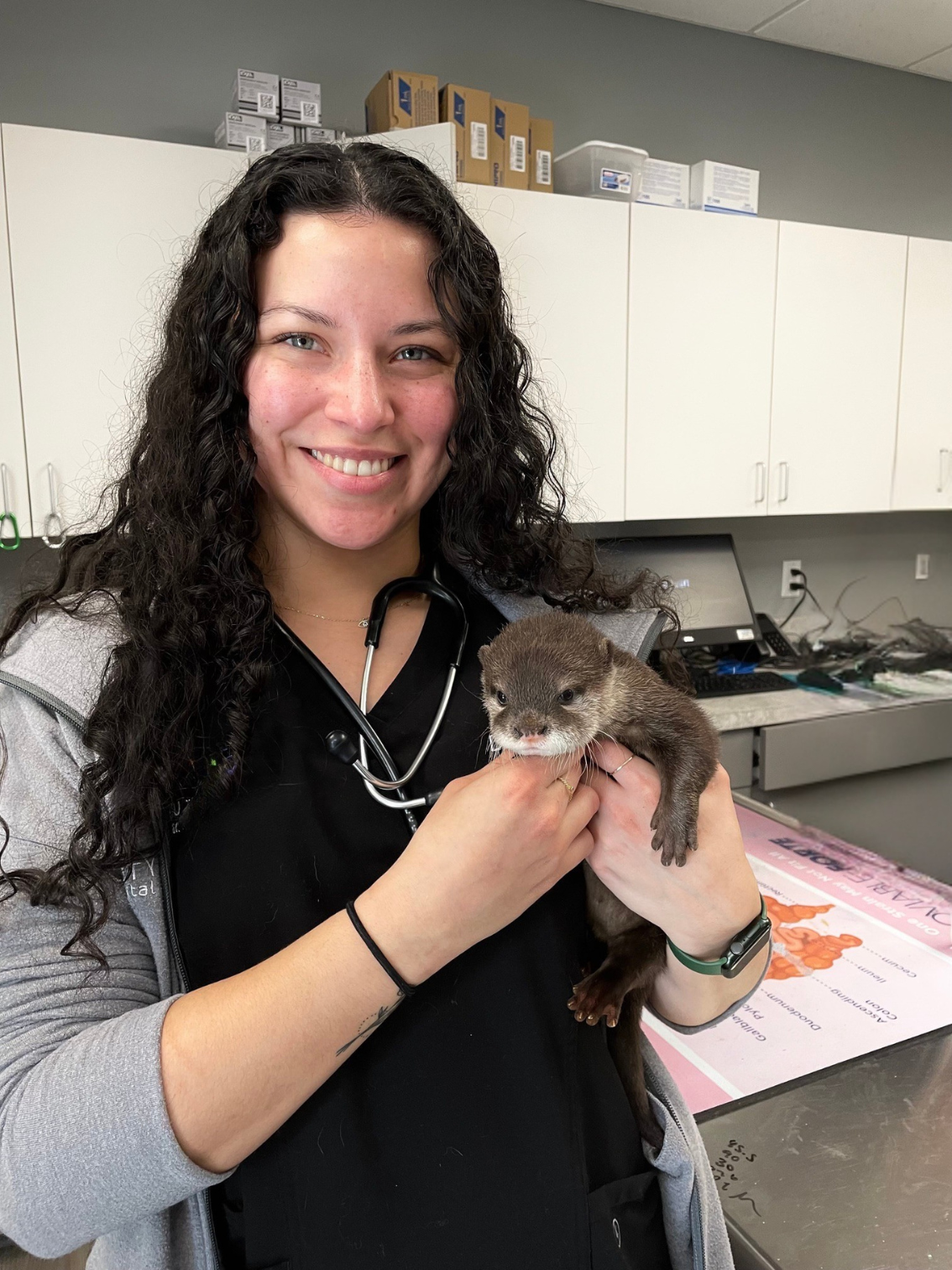 A smiling woman with long curly dark hair holding a small otter in her hands. She is inside a veterinary clinic with white cabinets and medical equipment in the background.