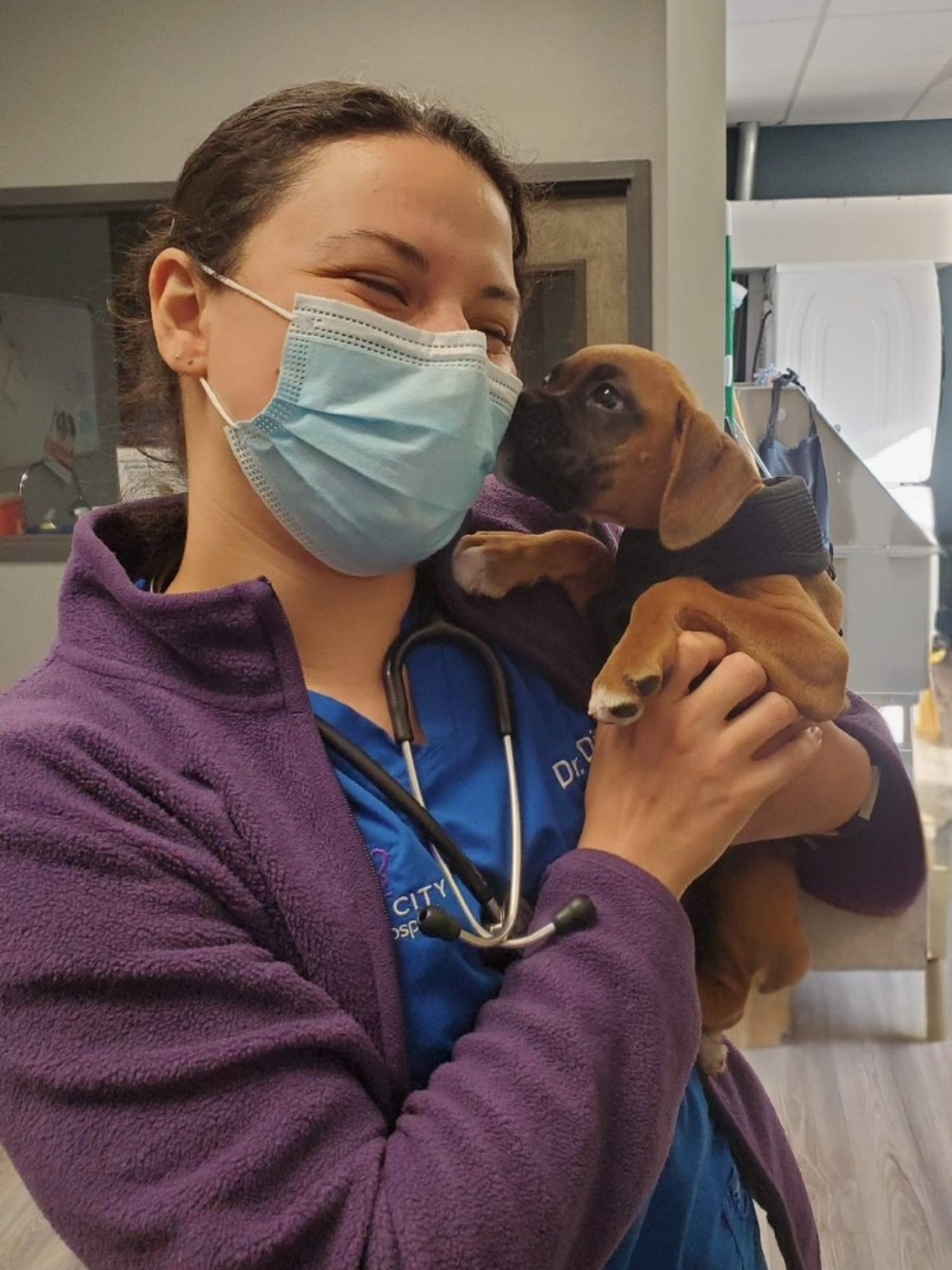 A woman wearing a medical face mask and purple jacket holding a brown puppy with black markings and a harness, both inside a veterinary or medical facility.