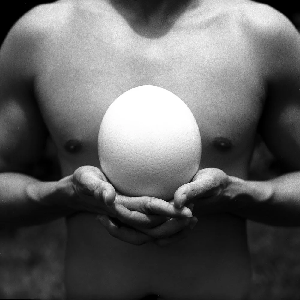 Holding the World in your Hands