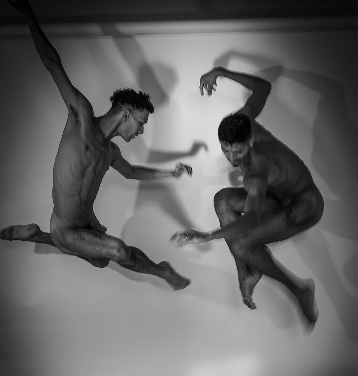 Pas-de-deux In Flight #1