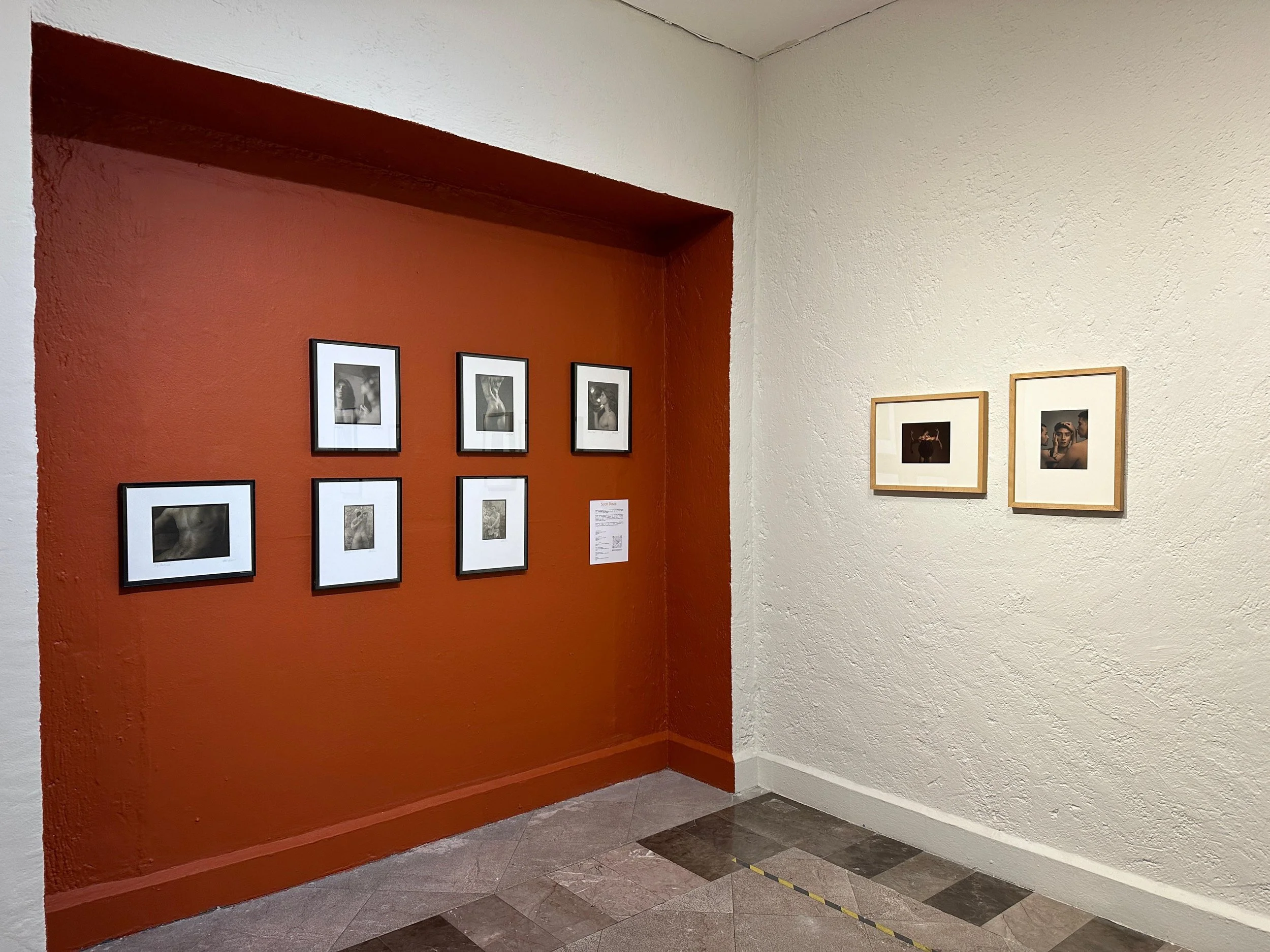 An art gallery wall displaying black-and-white photographs in black frames on a red and white wall.