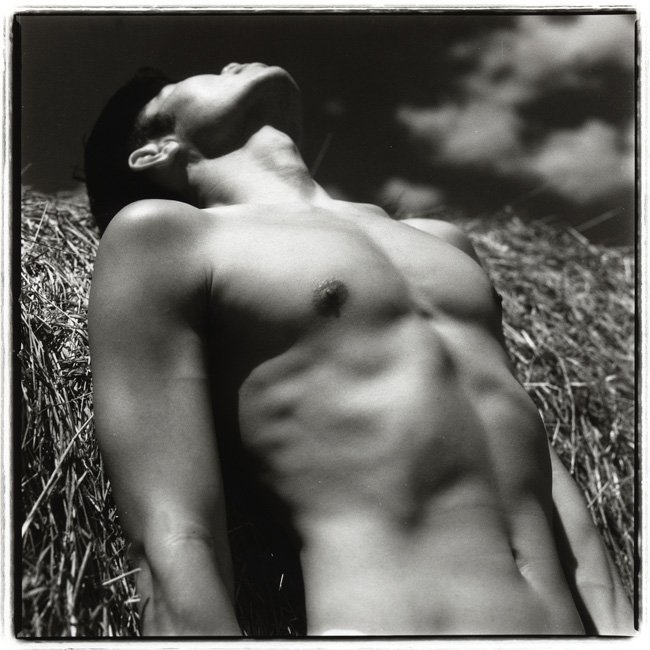 On the Hay Bale #2