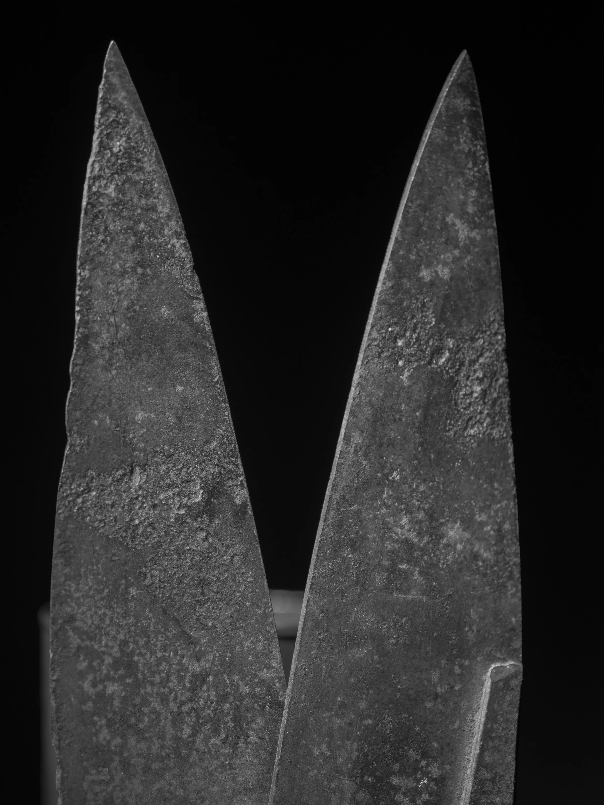 Garden Shears