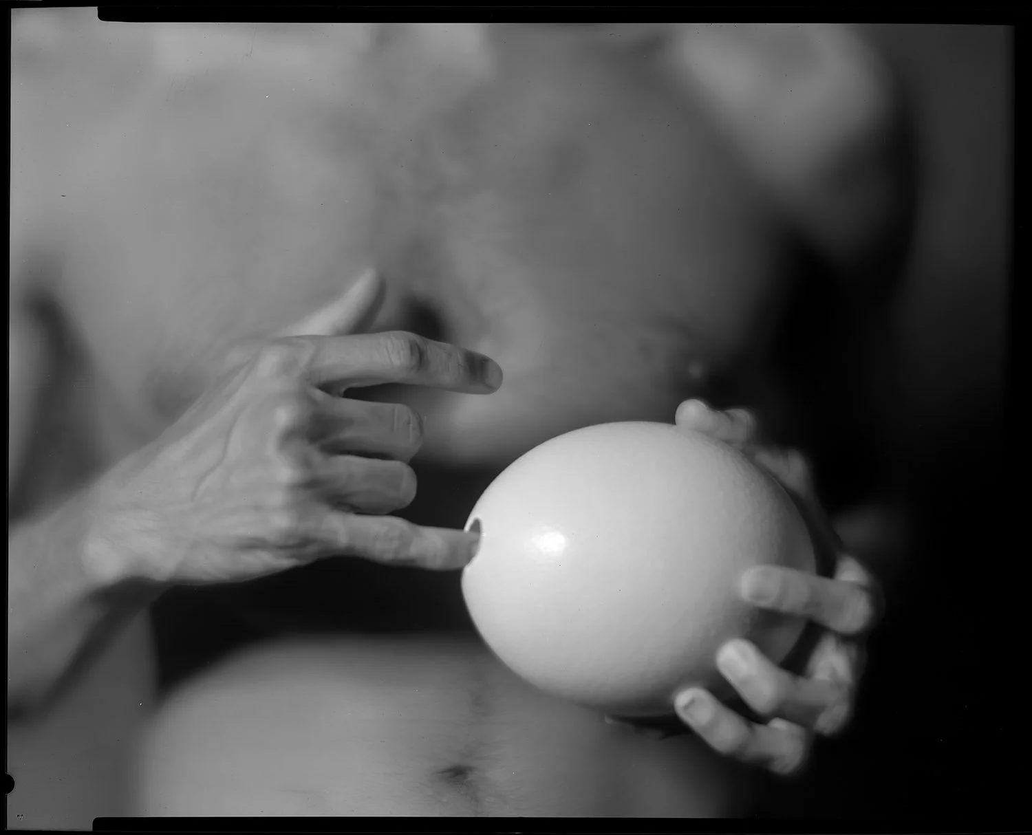 Homage to Mapplethorpe