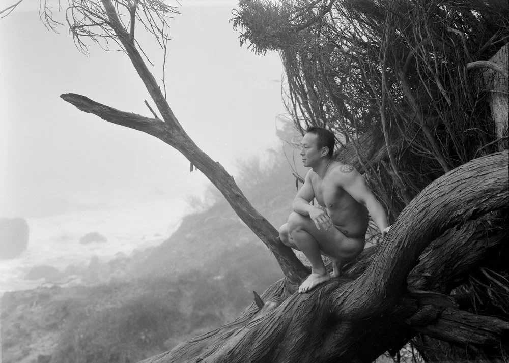 KT, Land’s End, San Francisco, Morning Fog