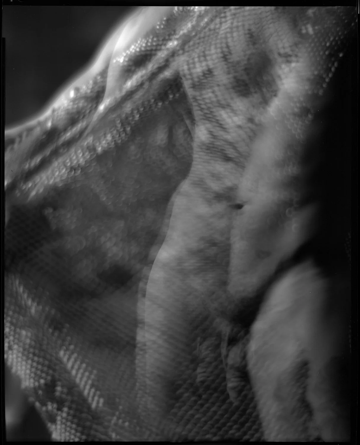 Untitled (18).JPG