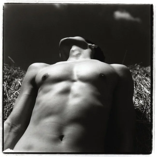 On the Hay Bale #1