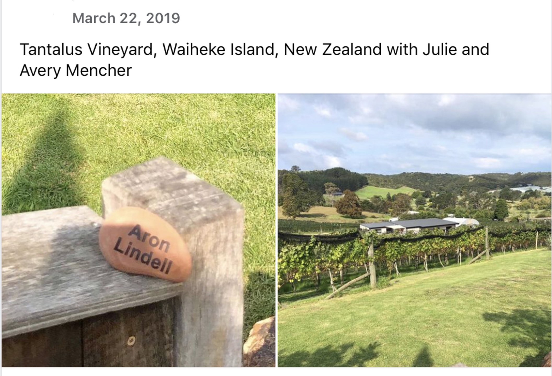 Tantalus Vineyard, Waiheke Island, New Zealand, 2019