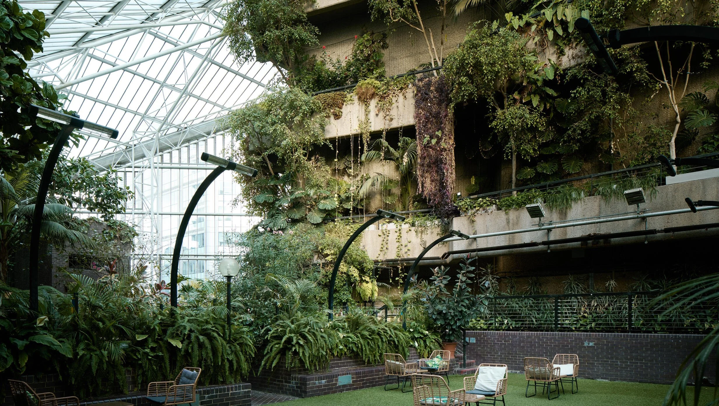 Barbican Conservatory Plant Adoption